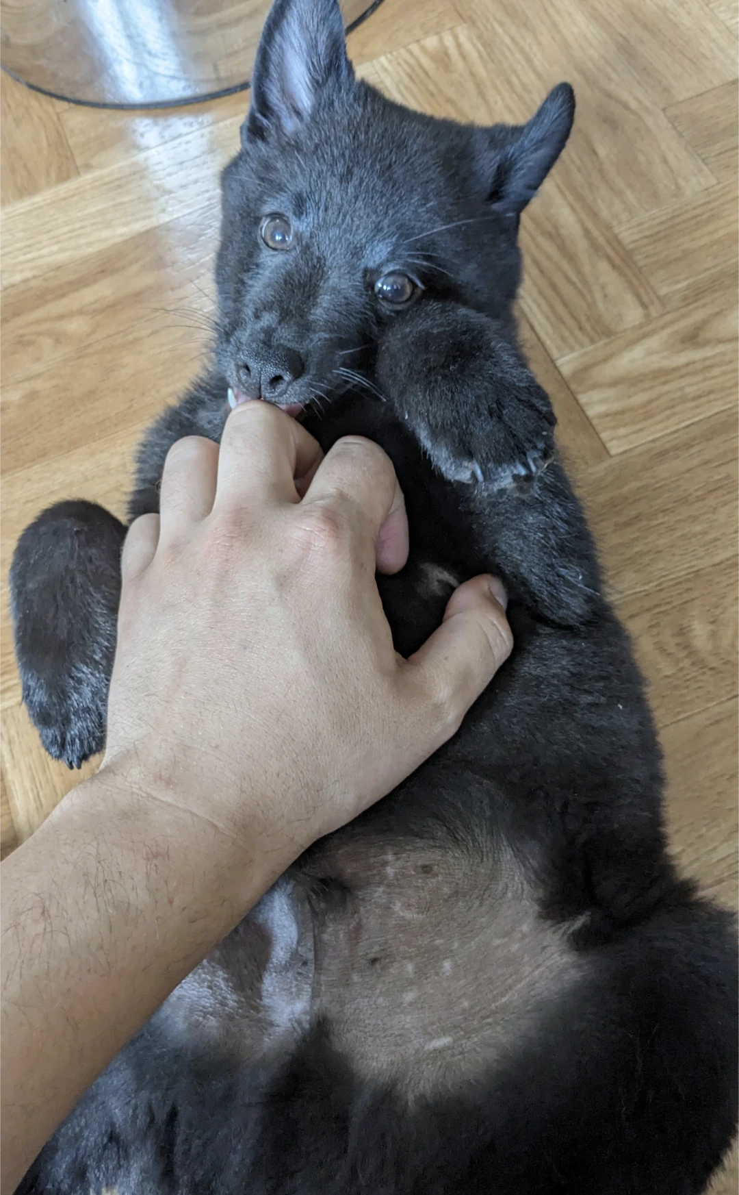 image-6