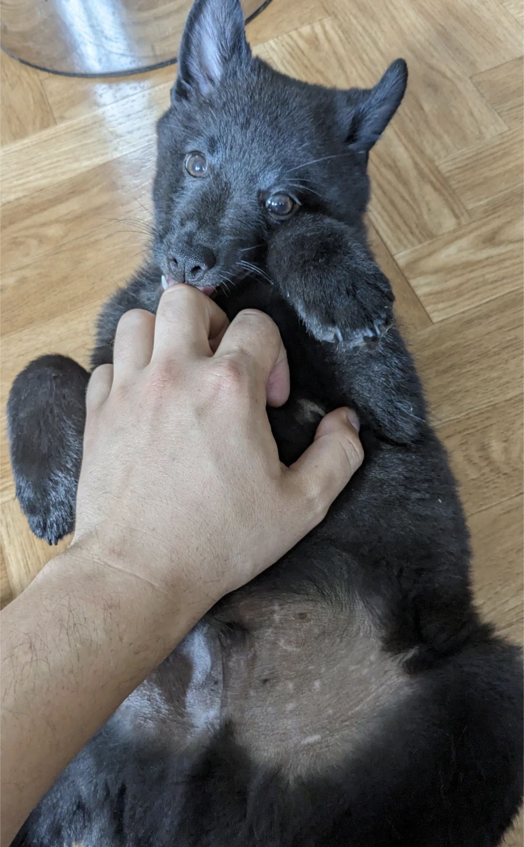 image-6