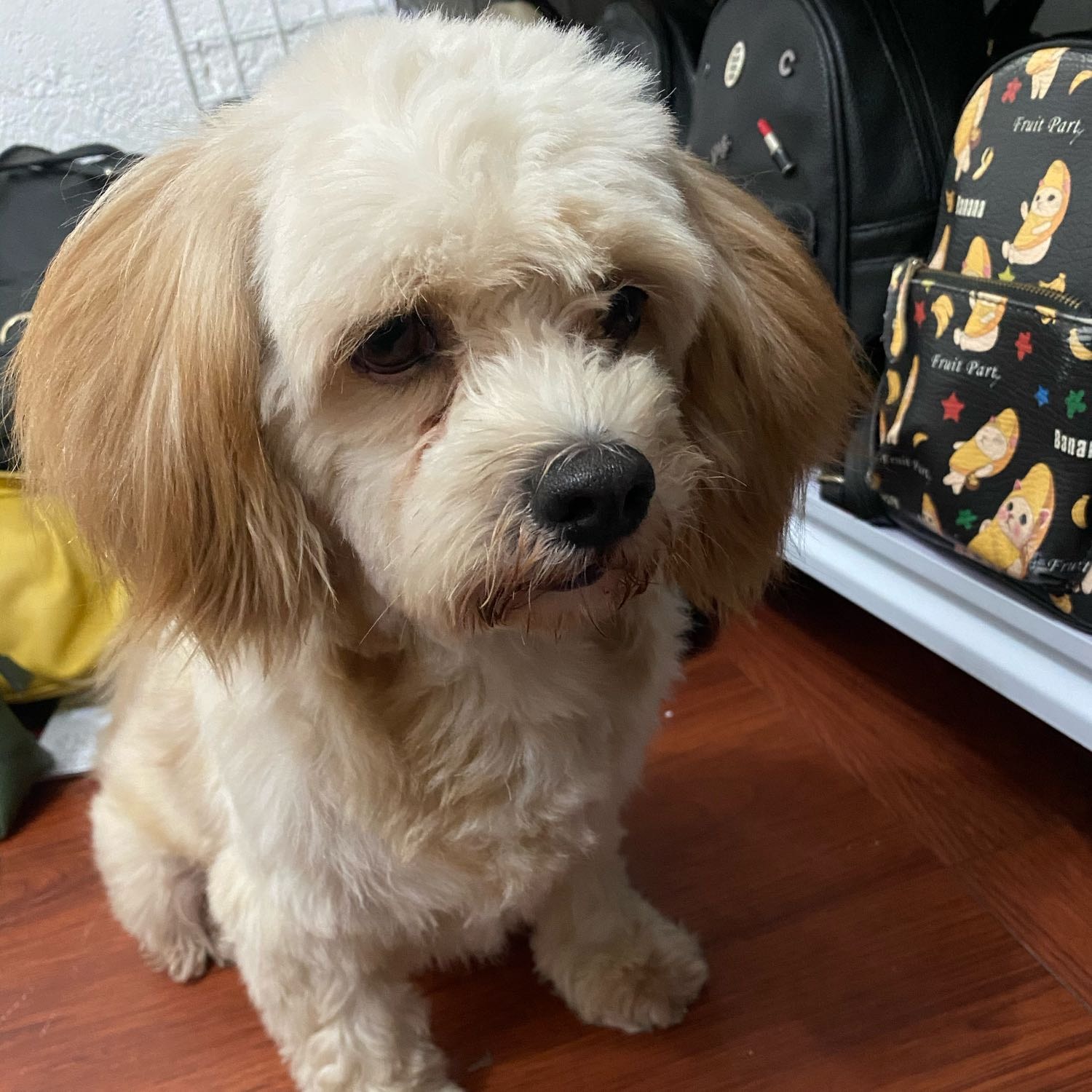 Tisoy