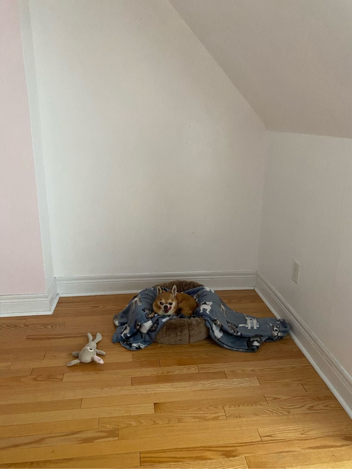 image-8
