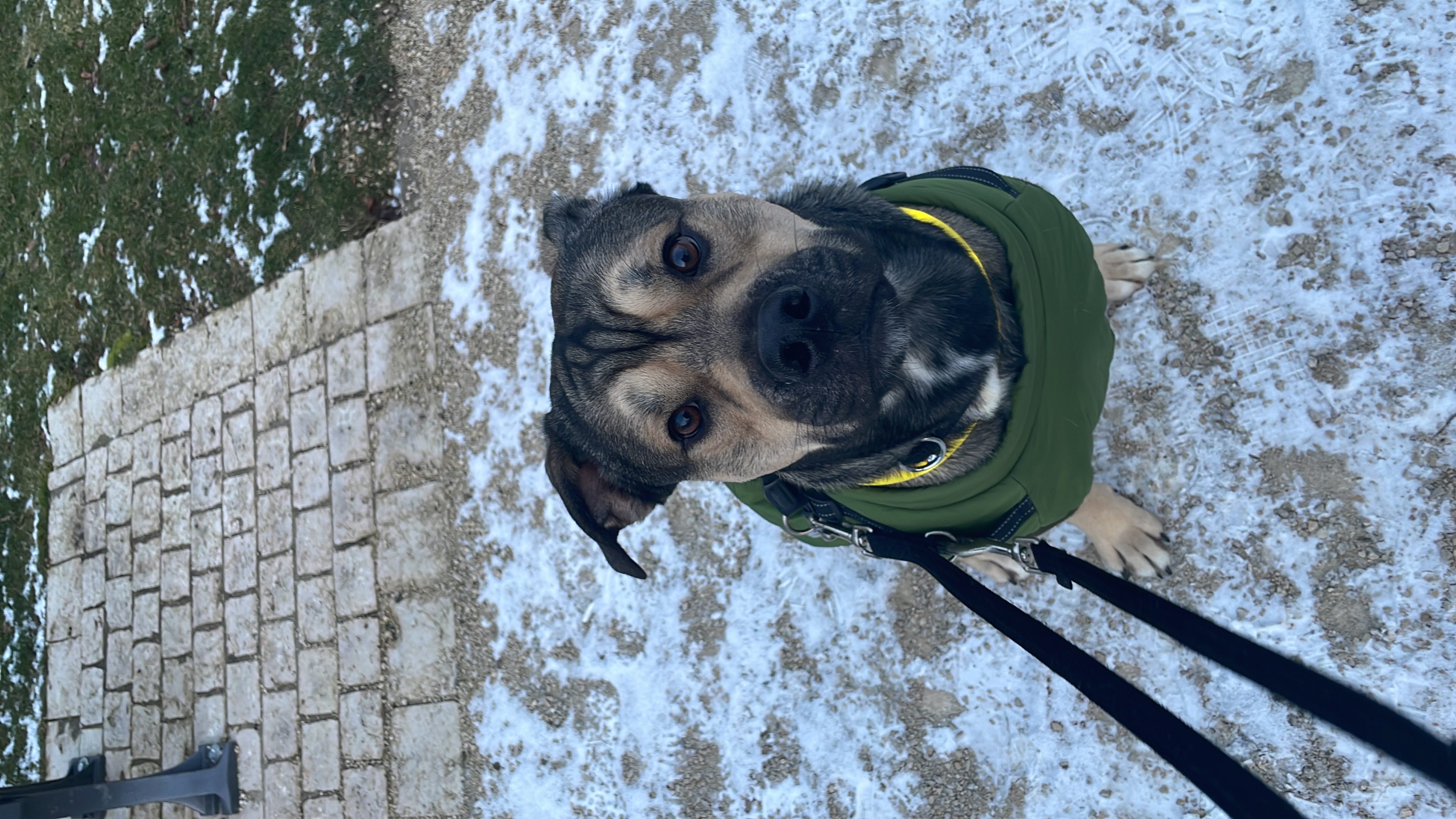 image-6
