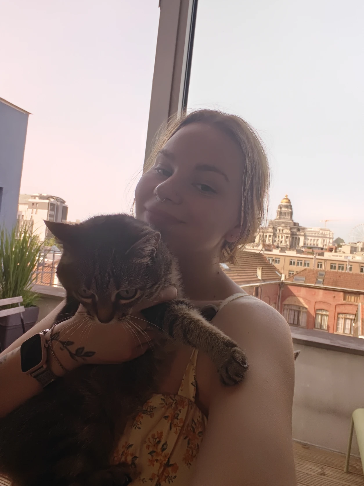 image-6