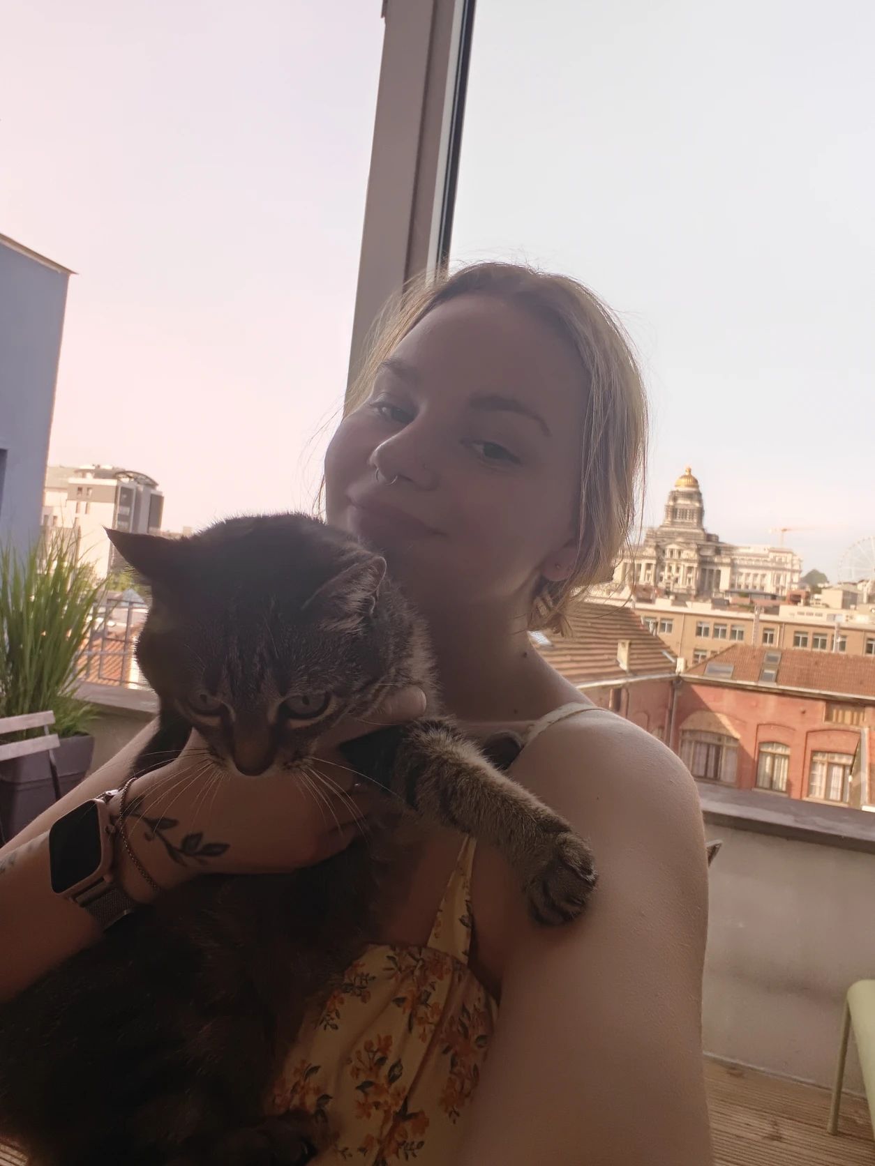 image-6