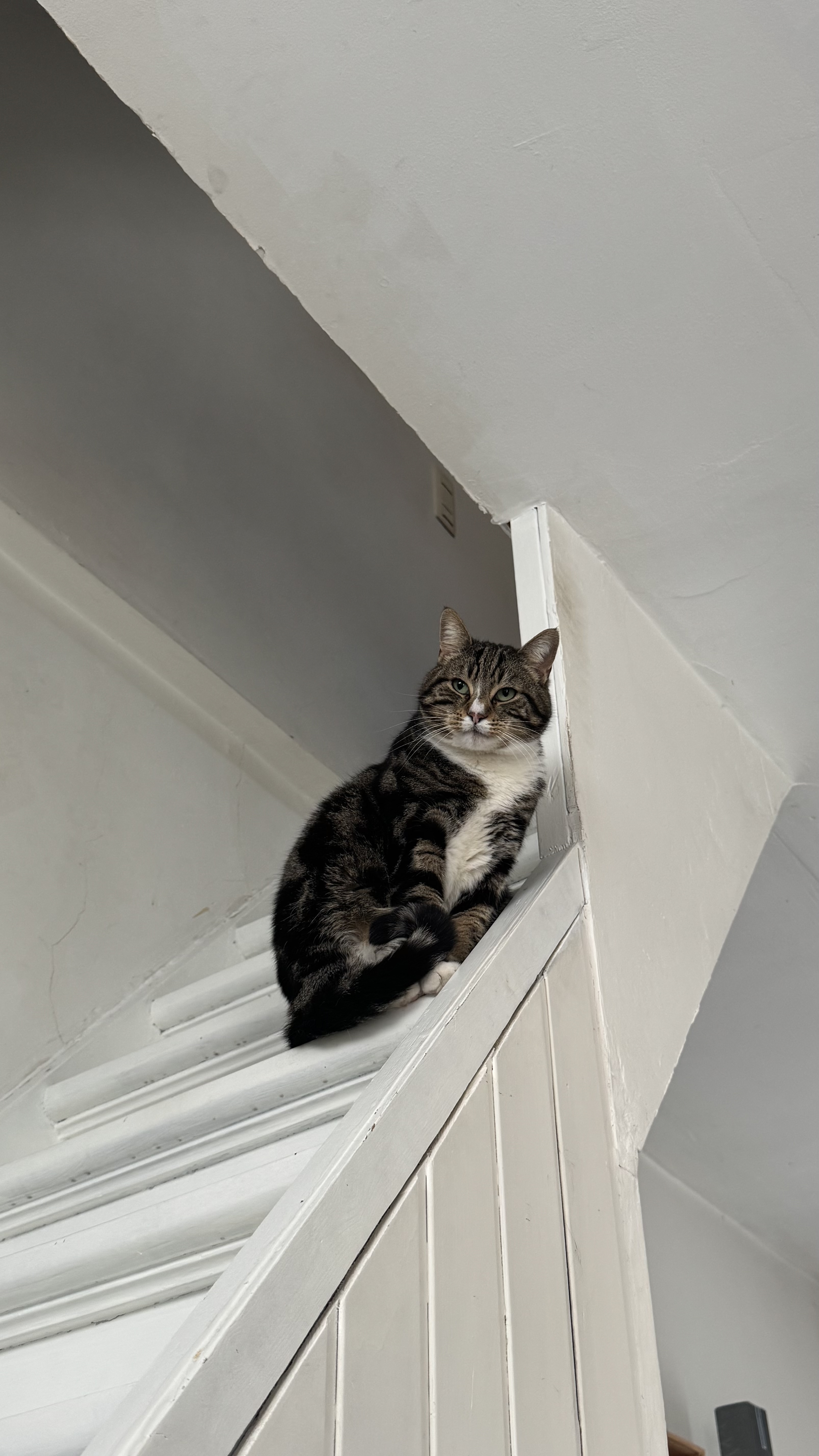 image-18