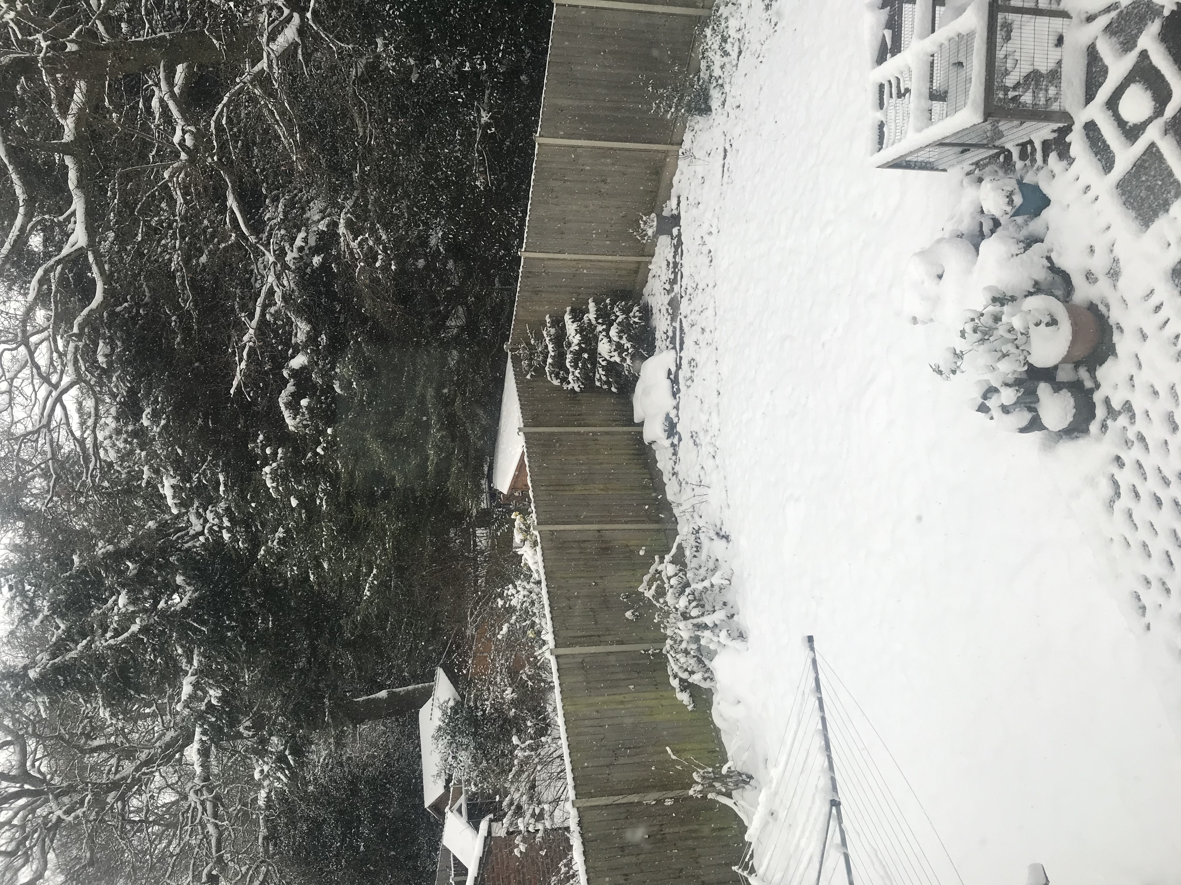 image-15