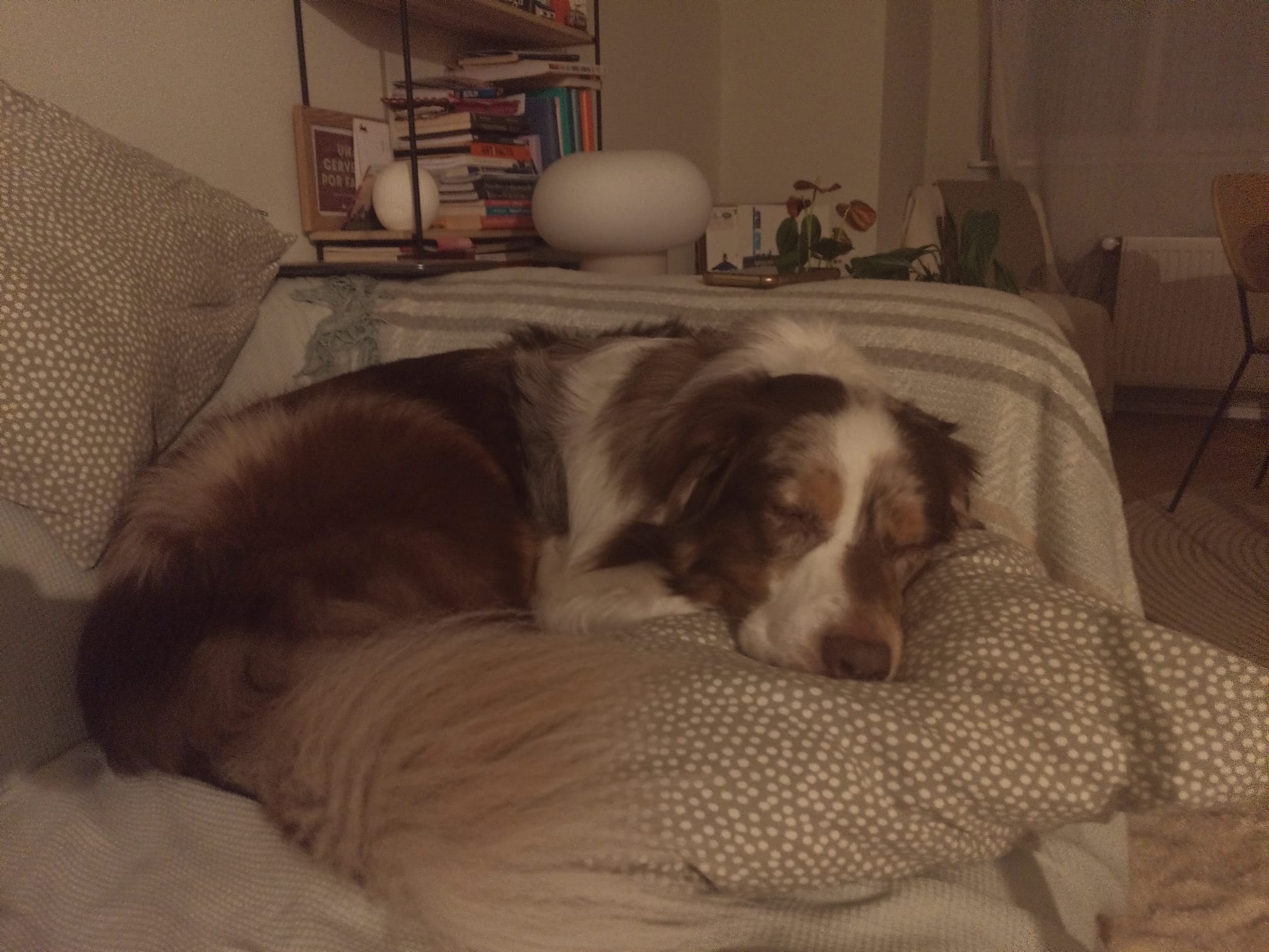 image-14