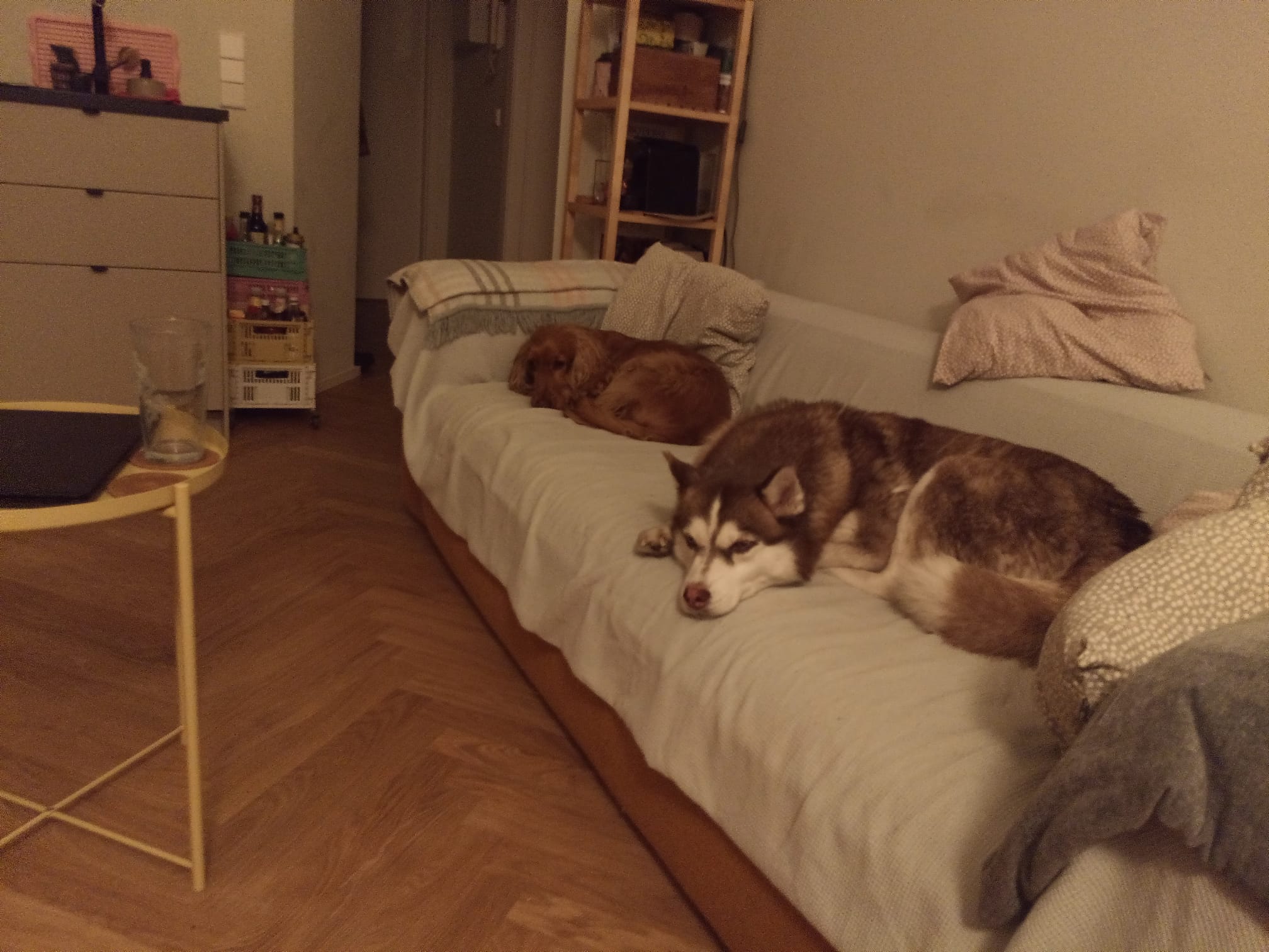 image-15