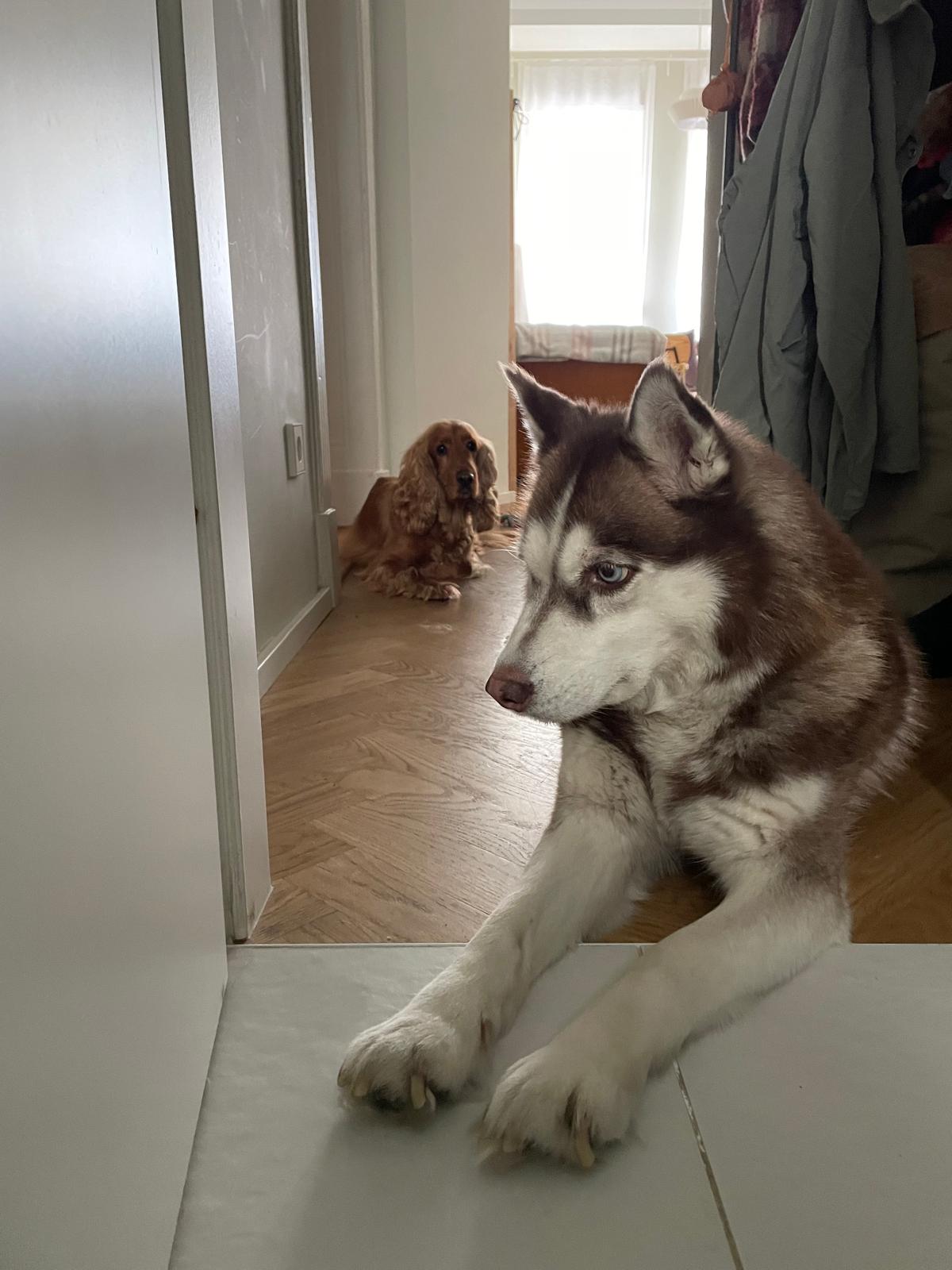 image-19