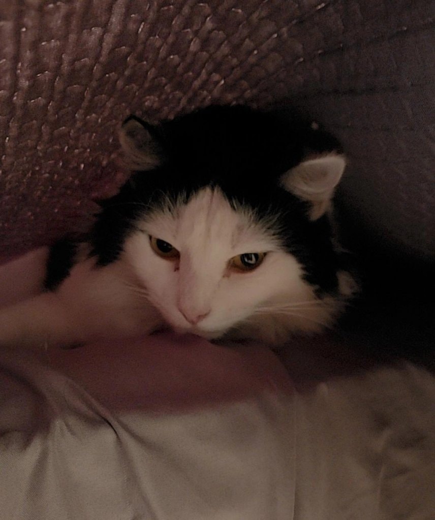 image-5