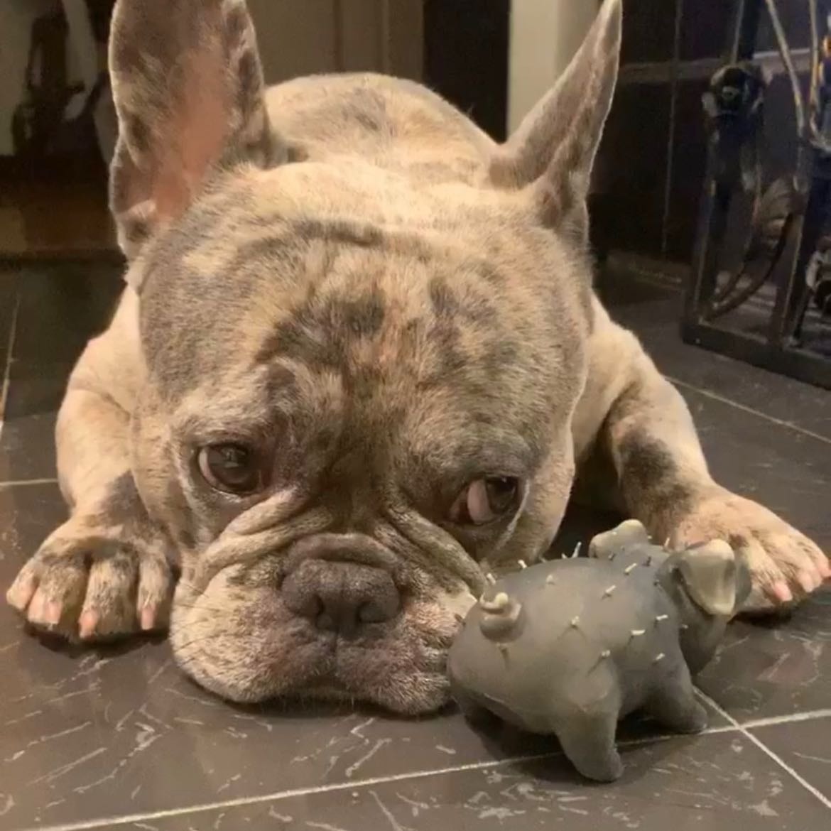 Pablo 