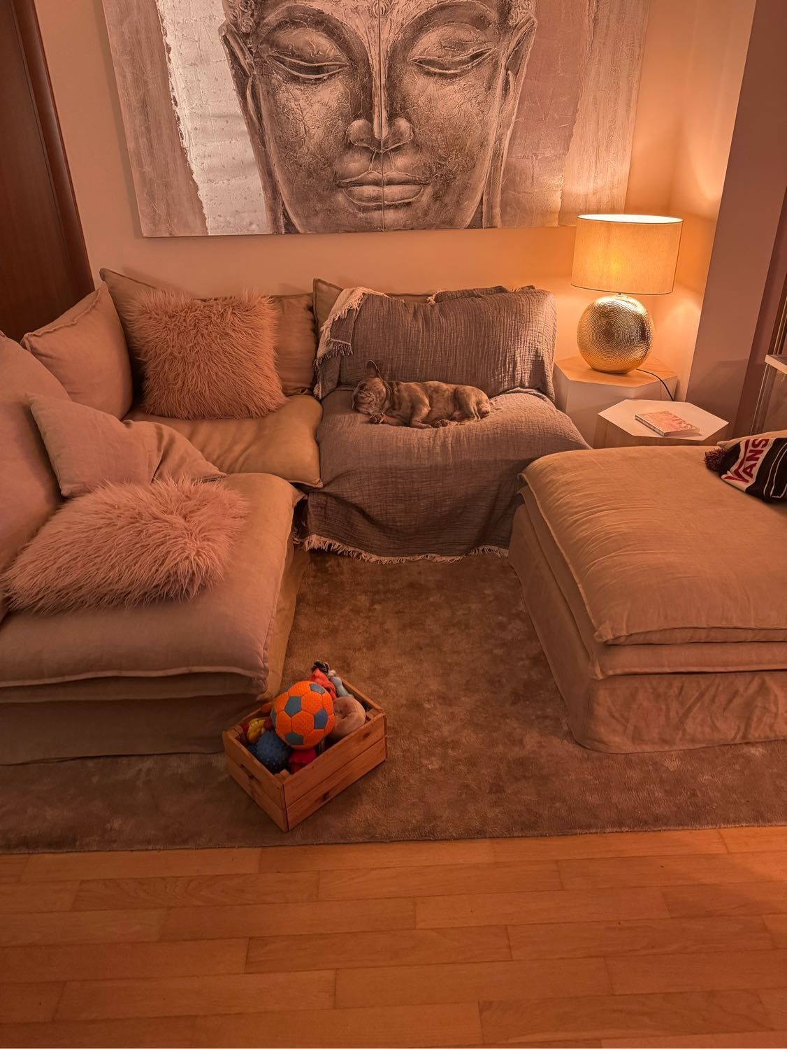 image-5