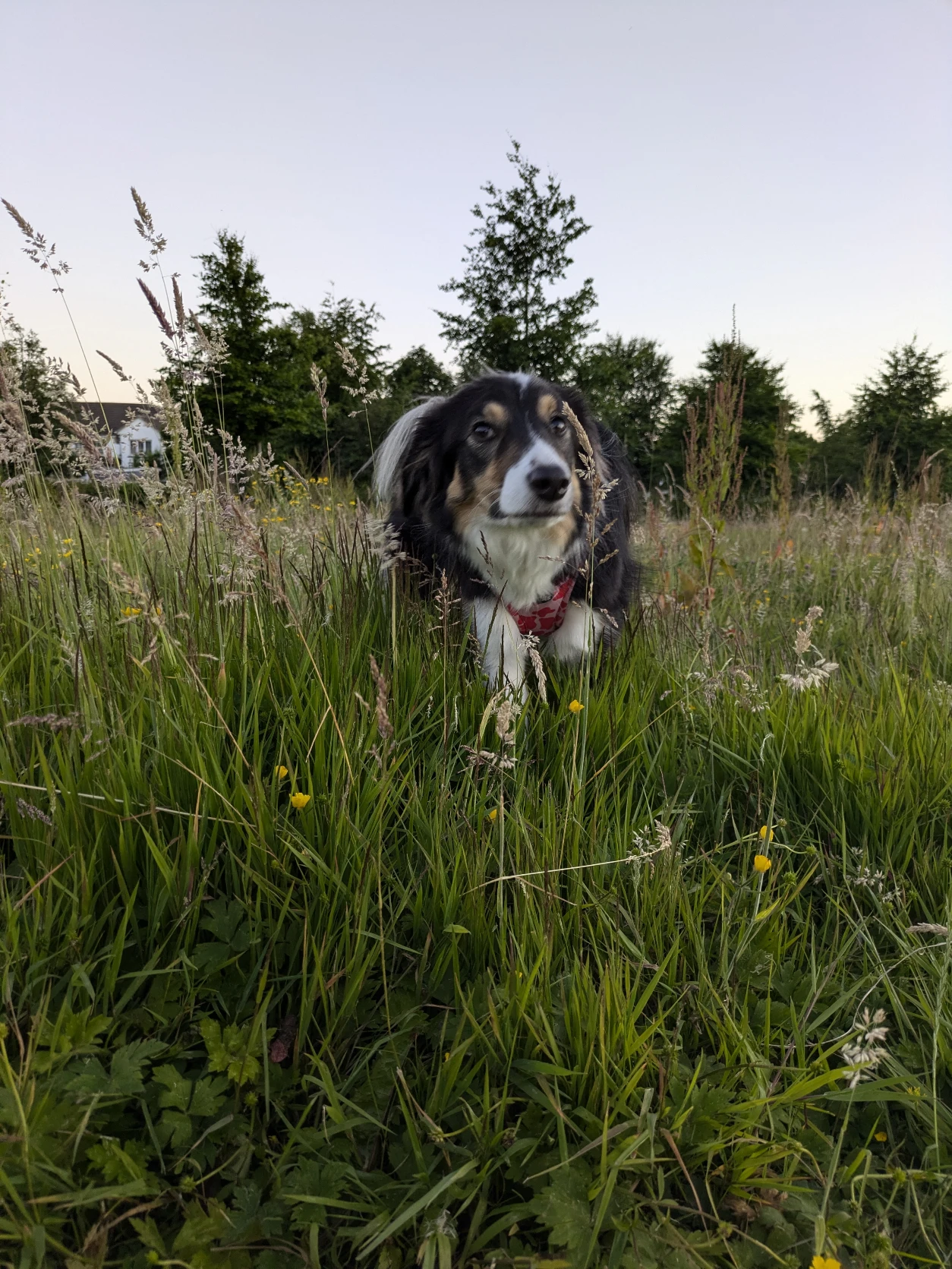 image-8