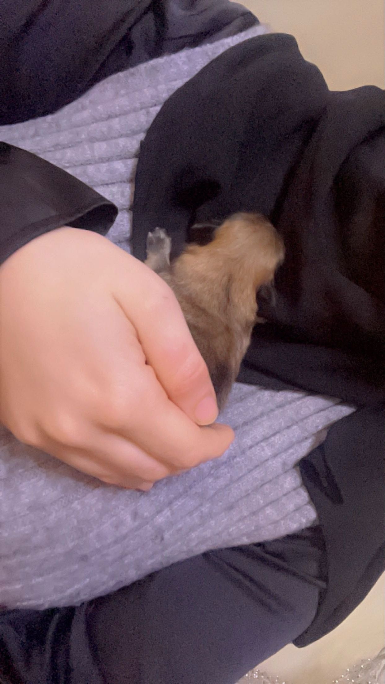 image-3