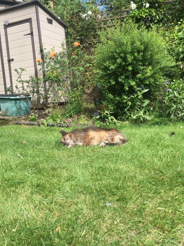 image-6