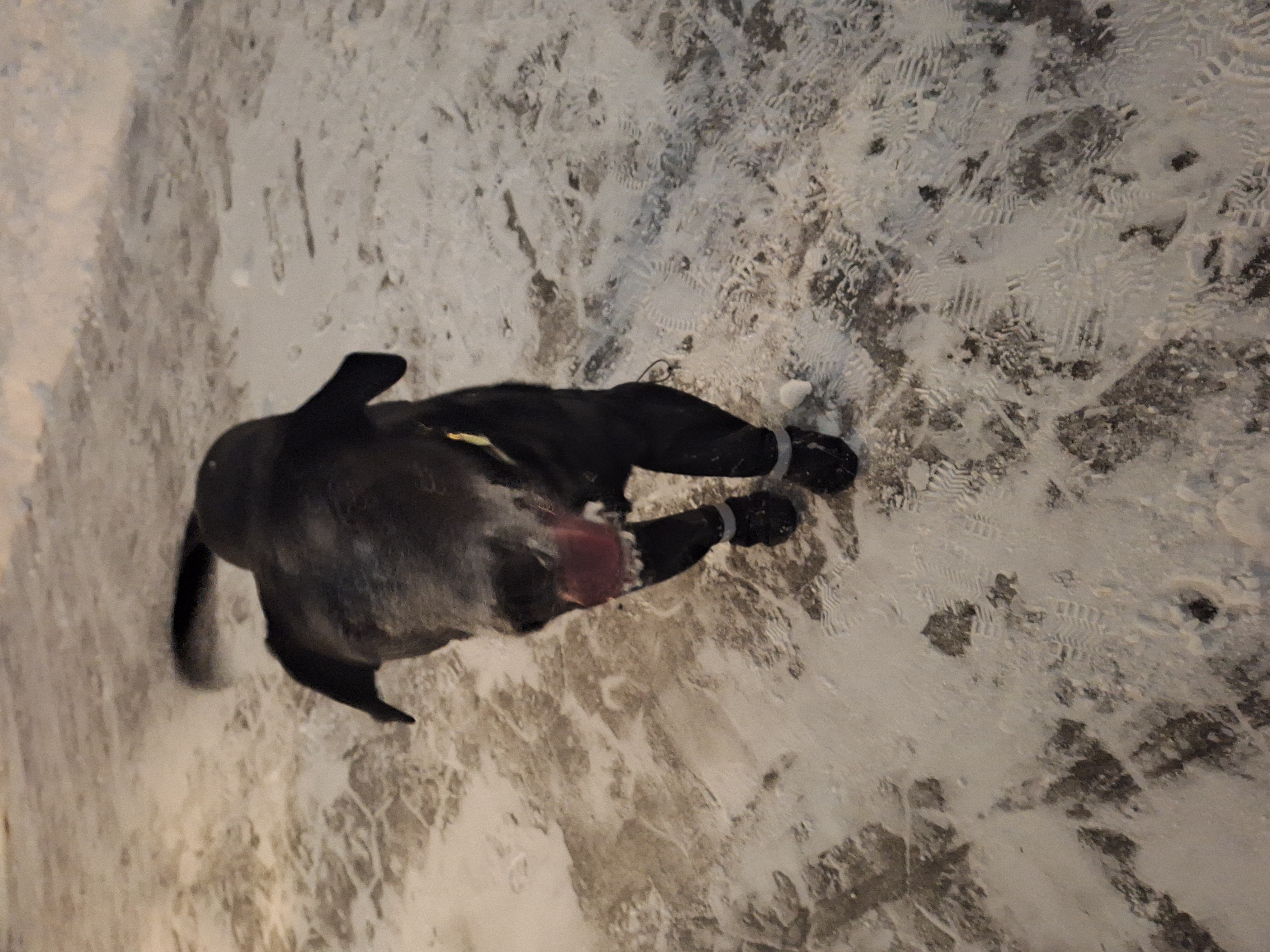 image-8