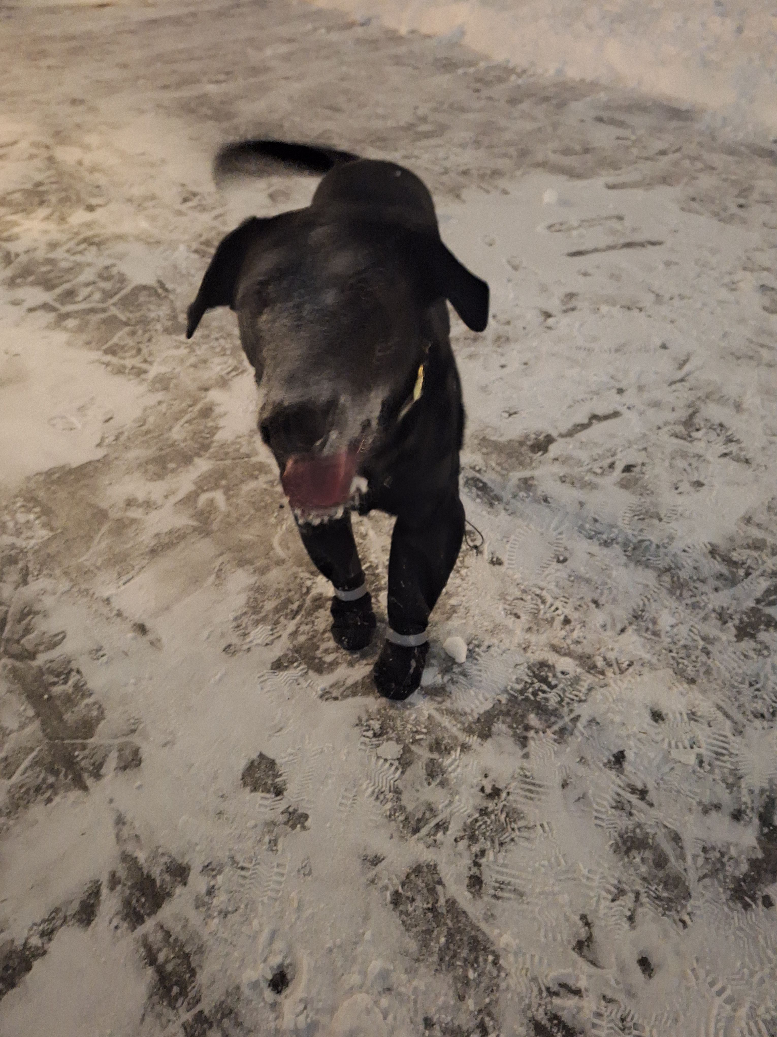 image-8