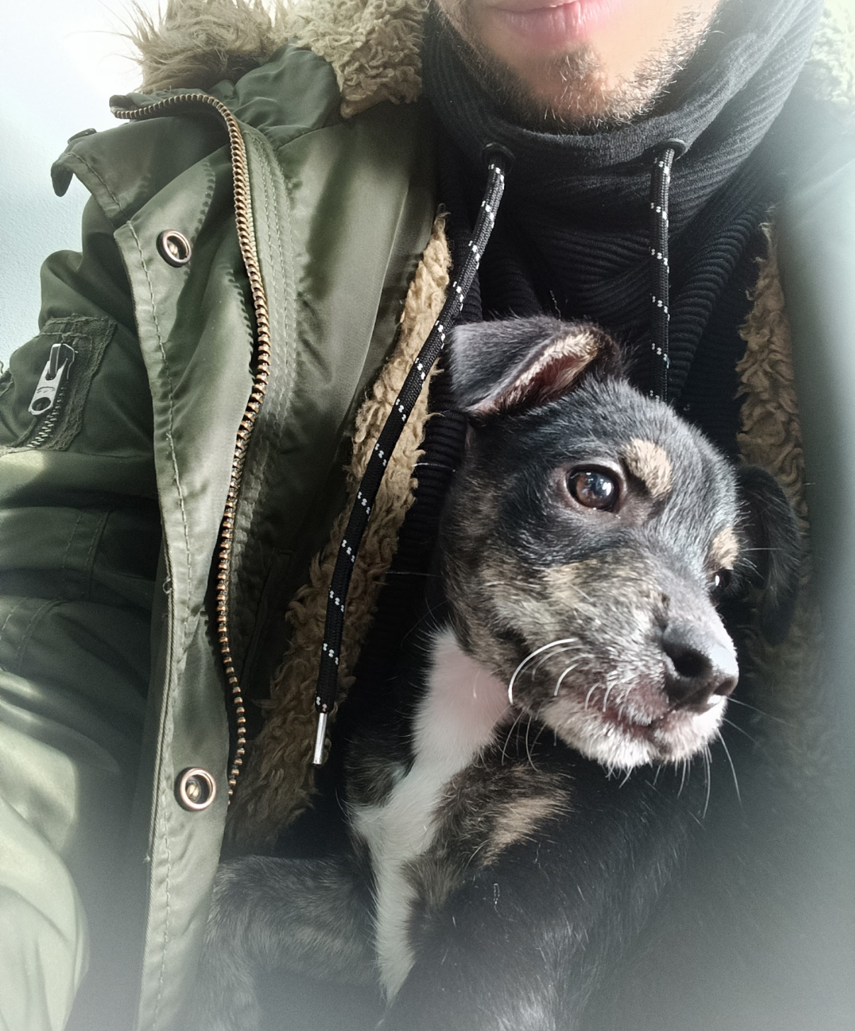 image-6