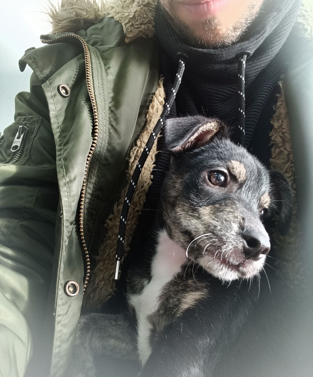 image-6