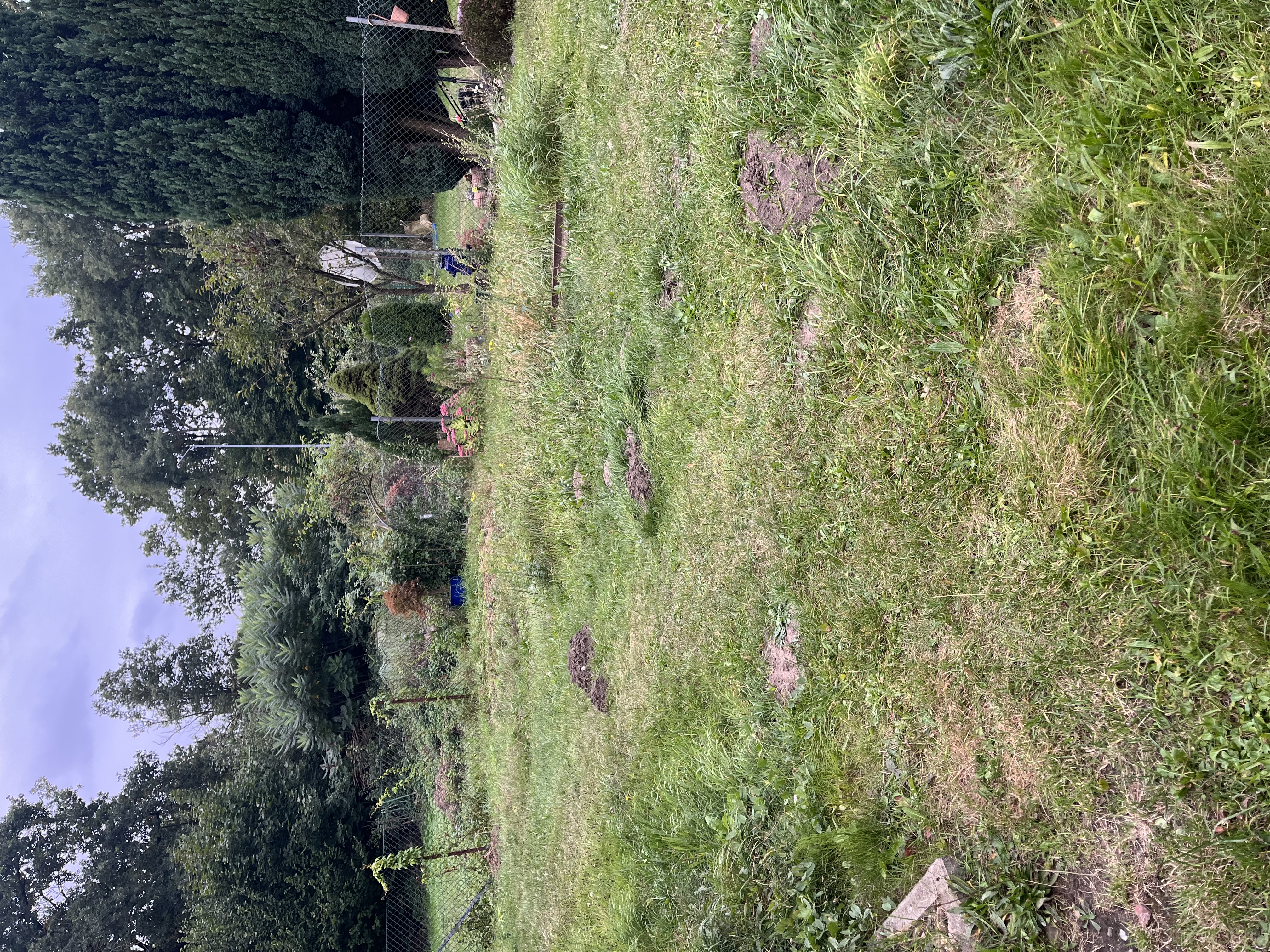 image-14