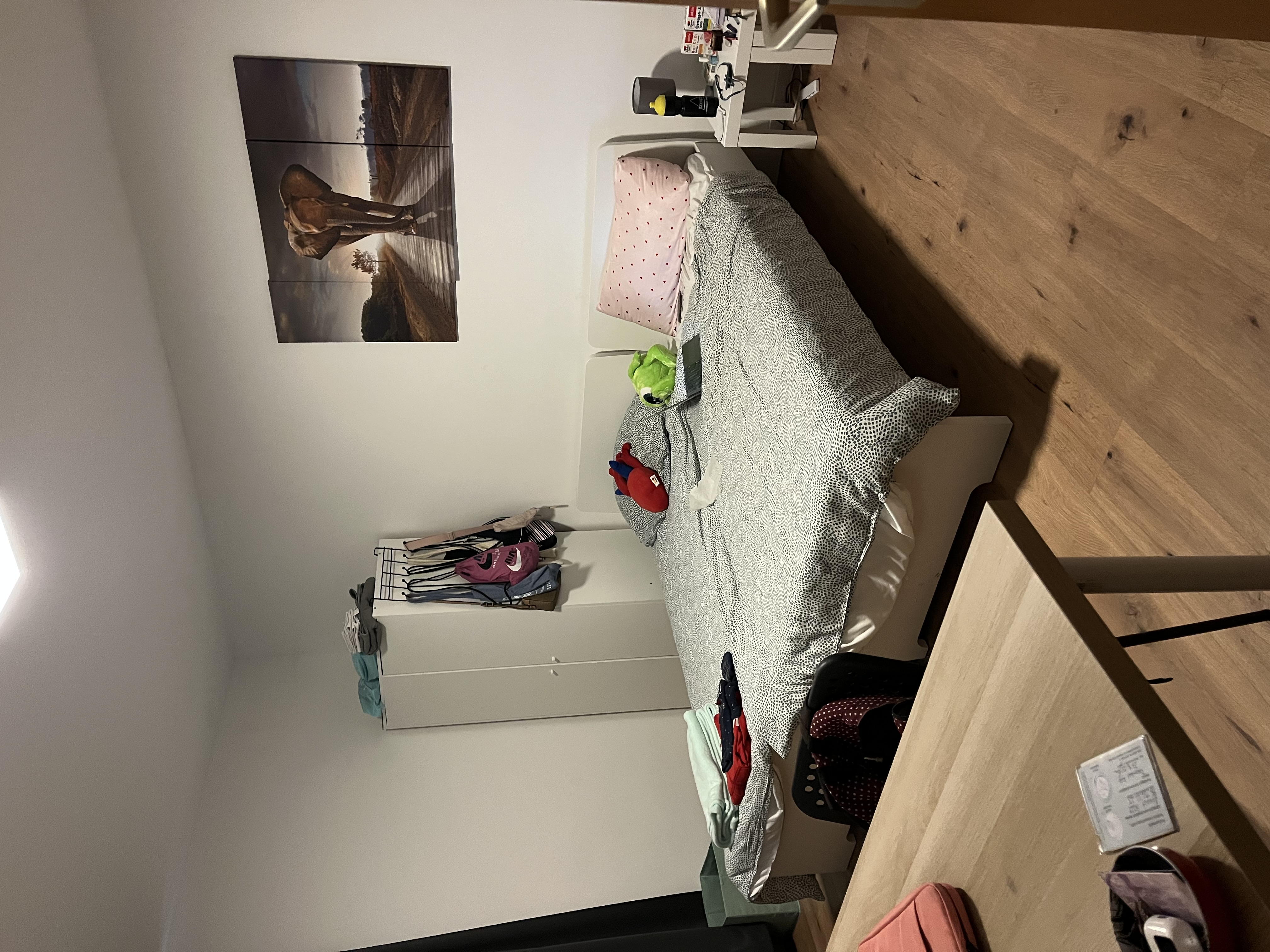 image-10