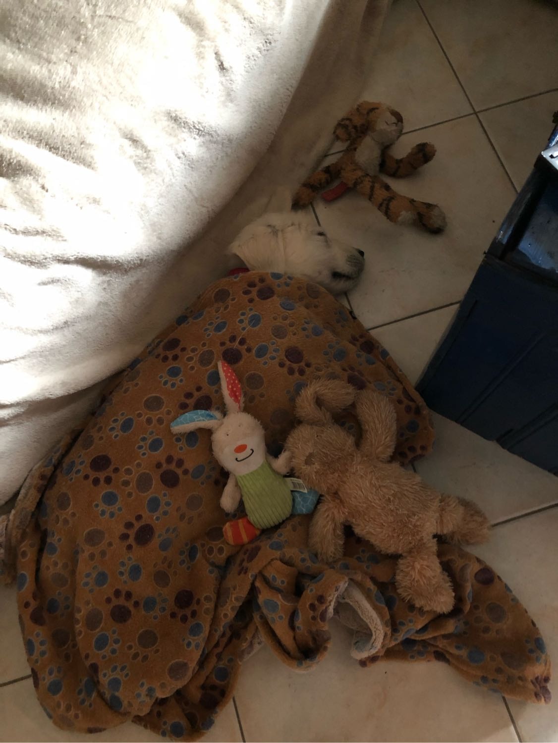 image-3