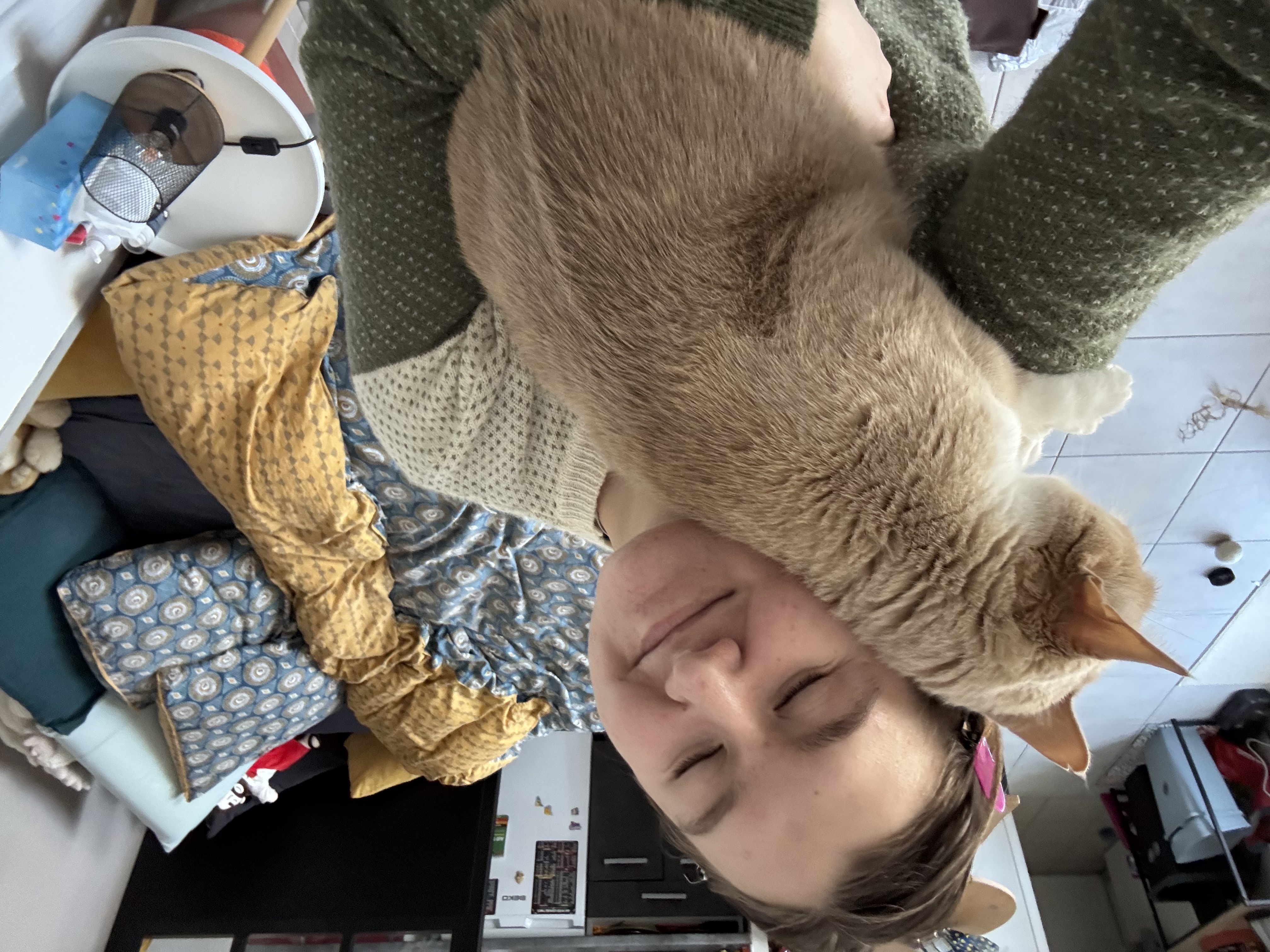 image-2