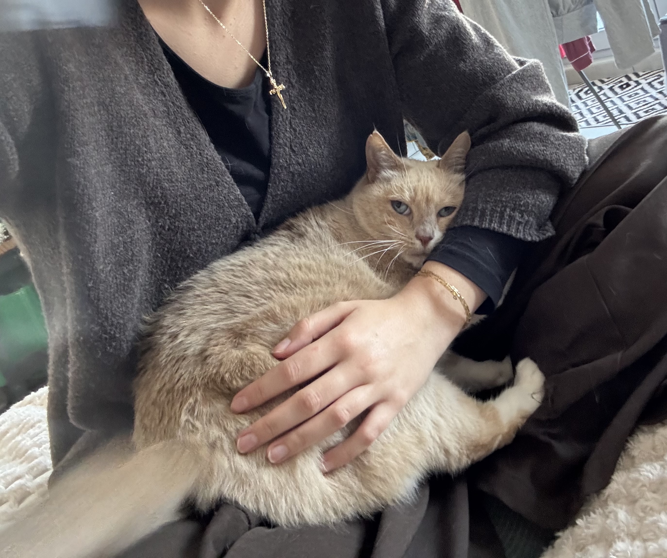 image-10