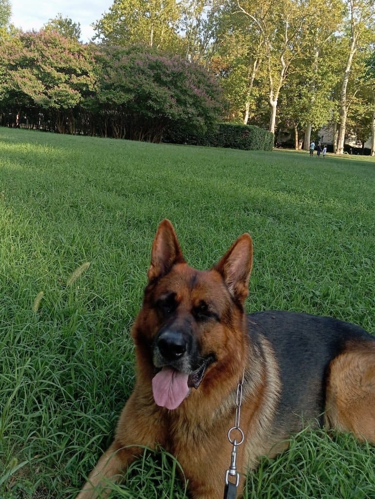 image-5