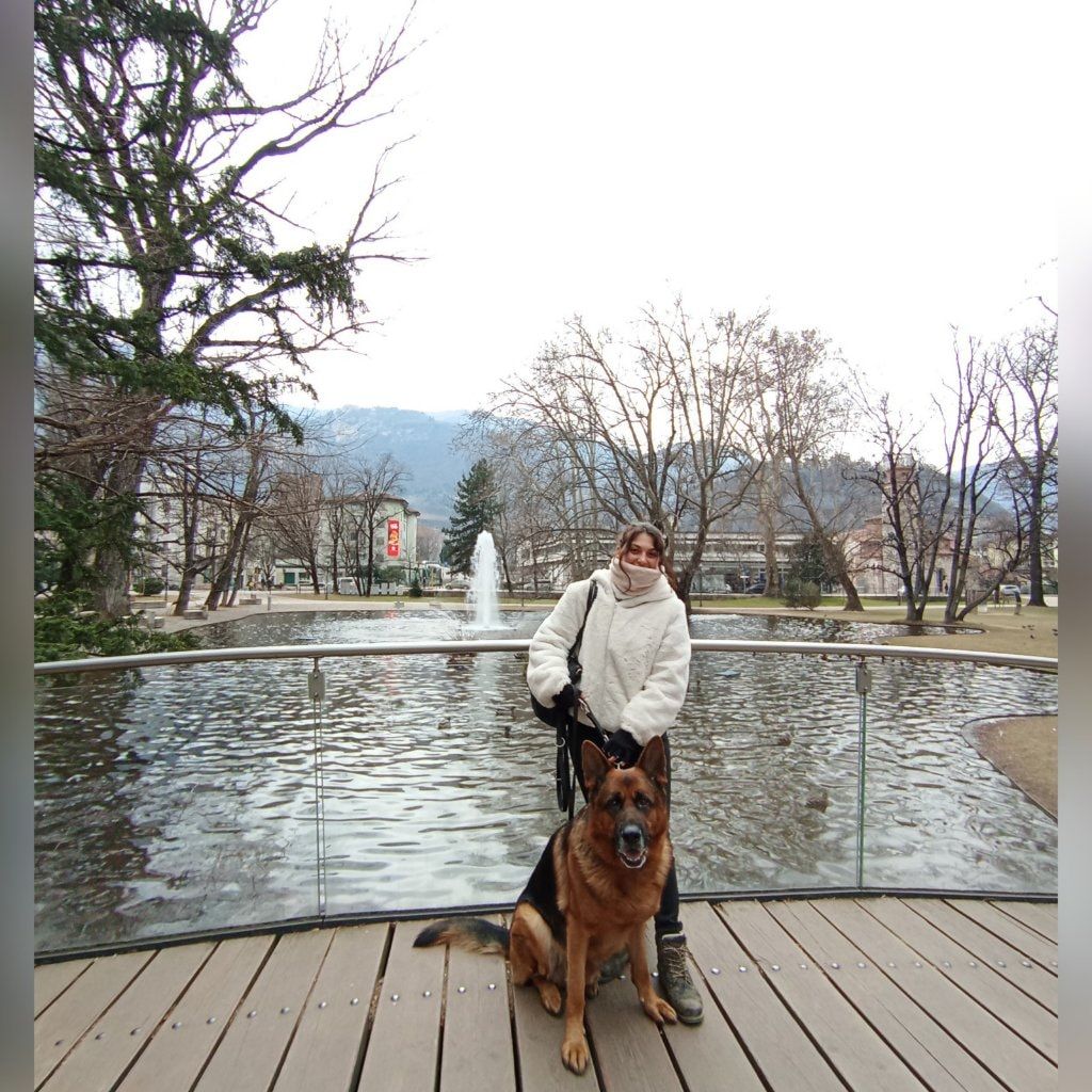 image-2