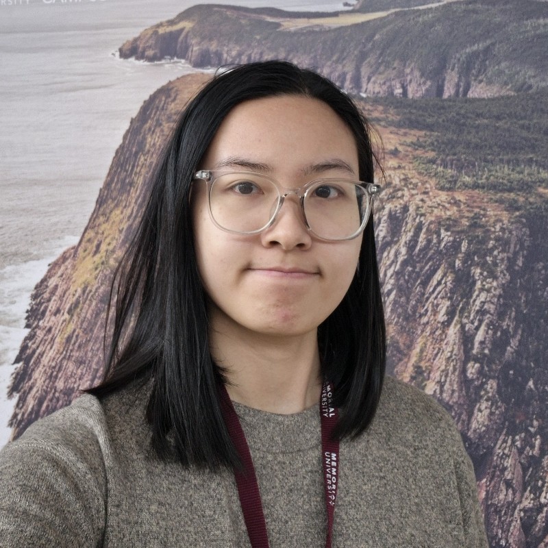 Minh Anh