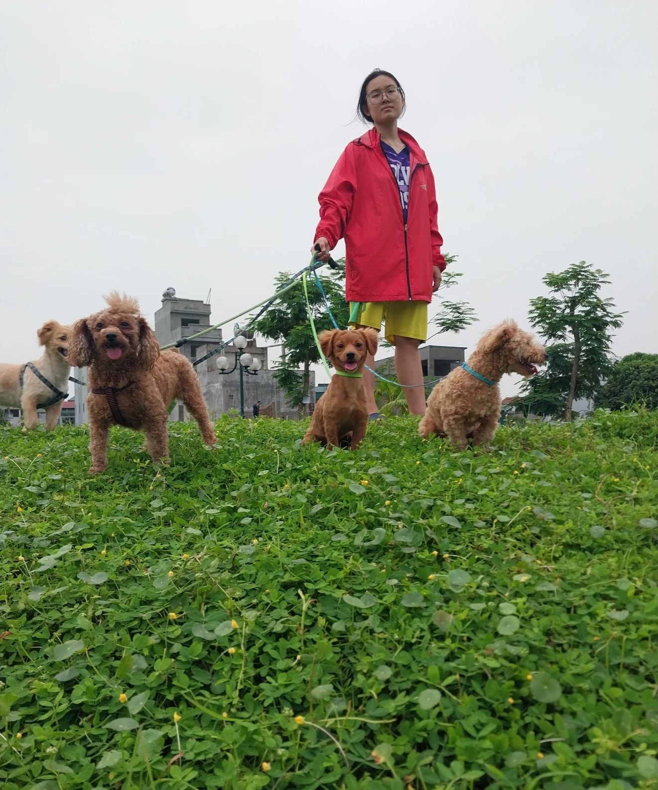 image-8