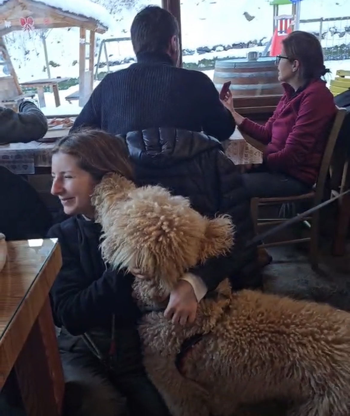 image-3