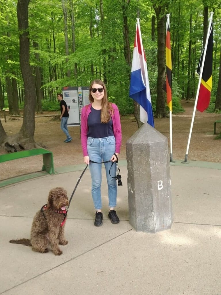 image-1