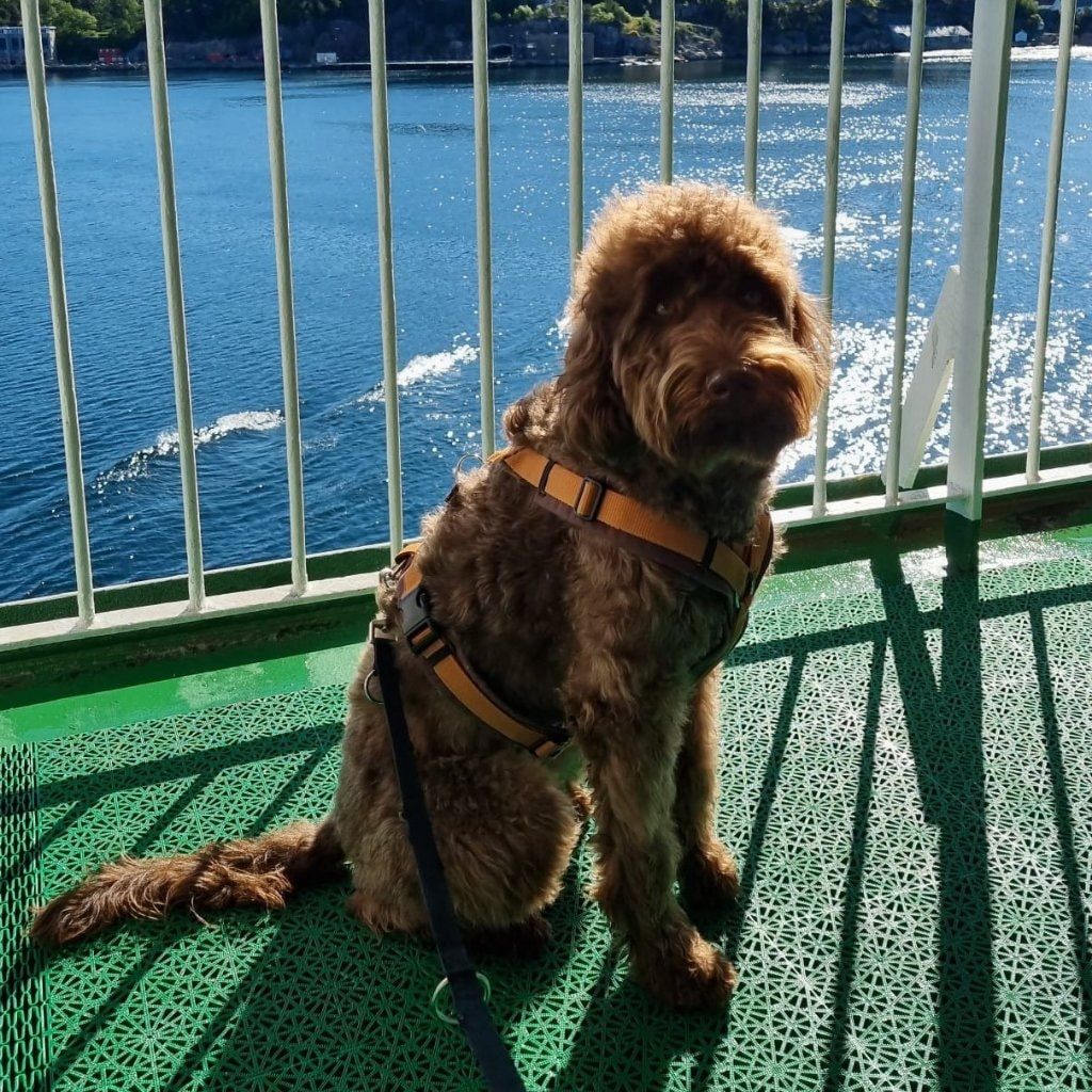 Nessie