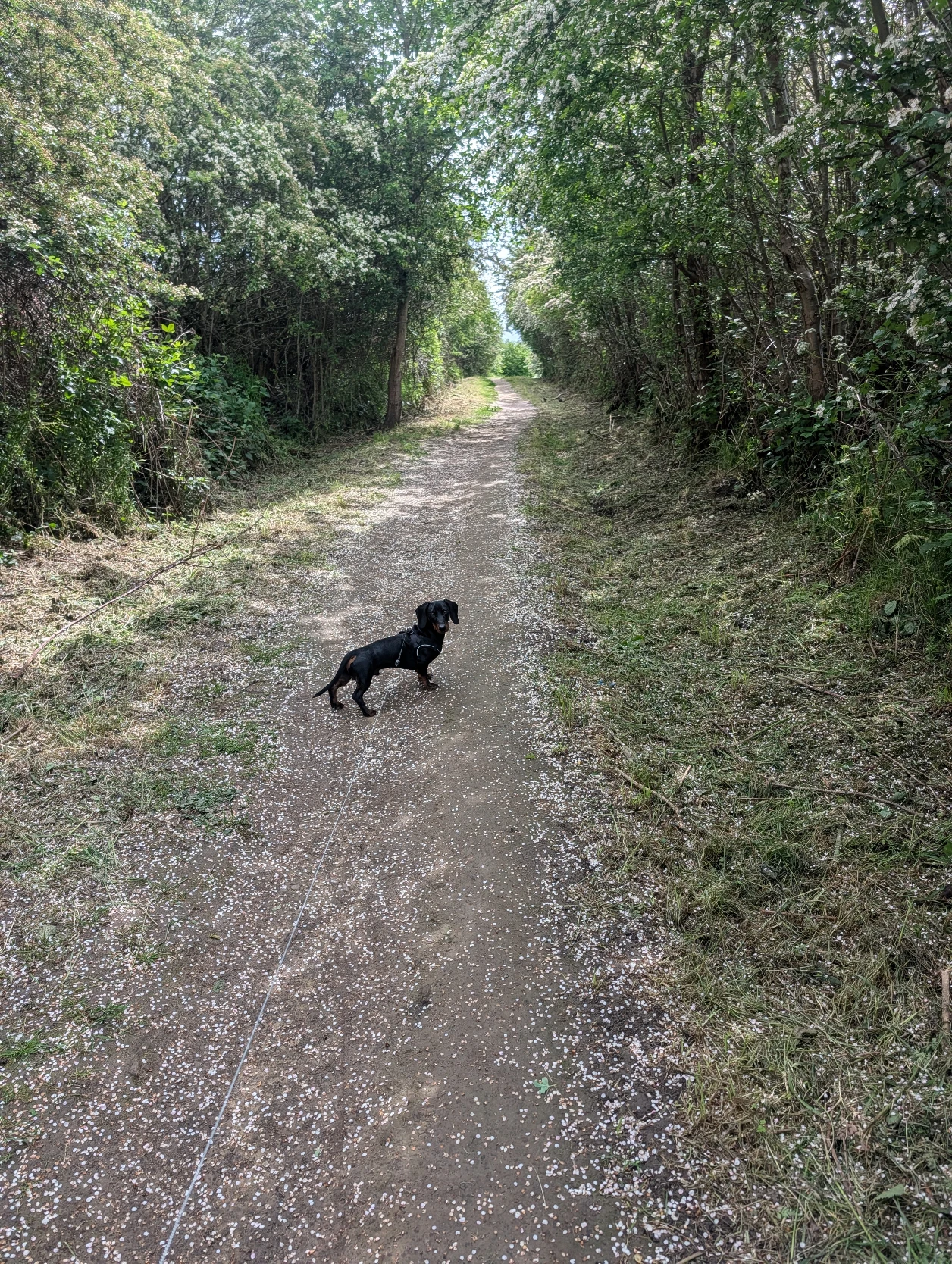 image-16