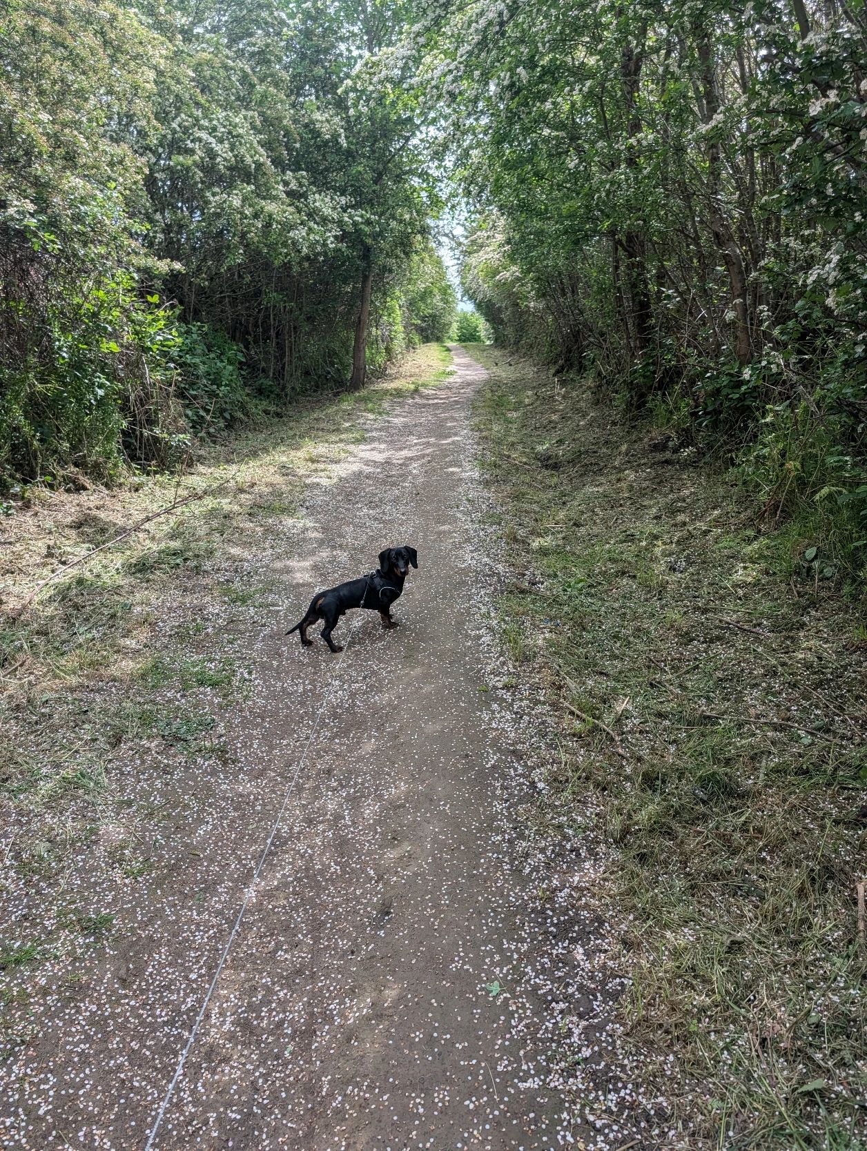 image-16