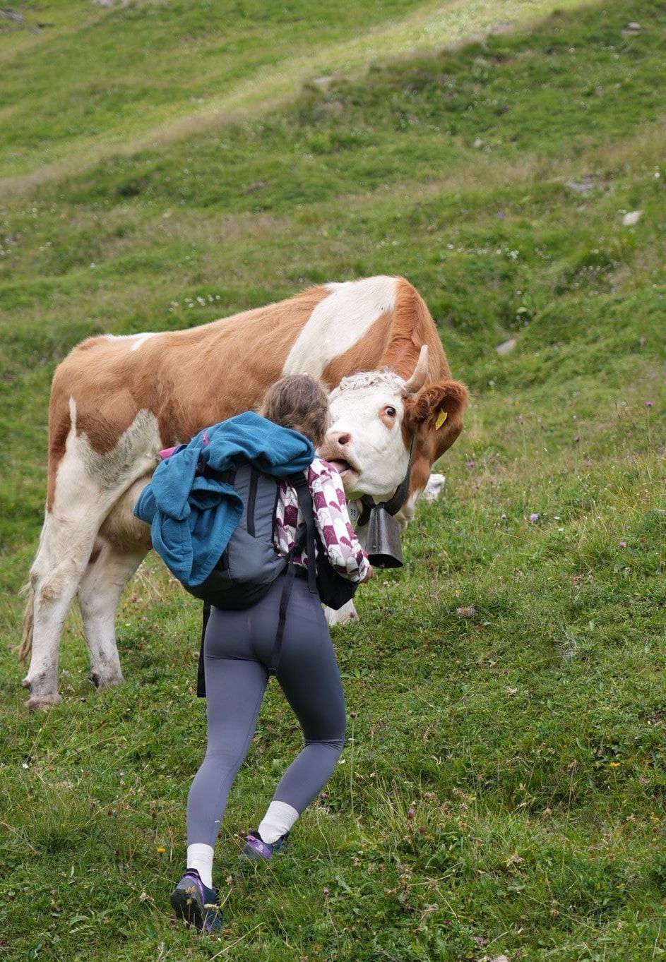 image-4