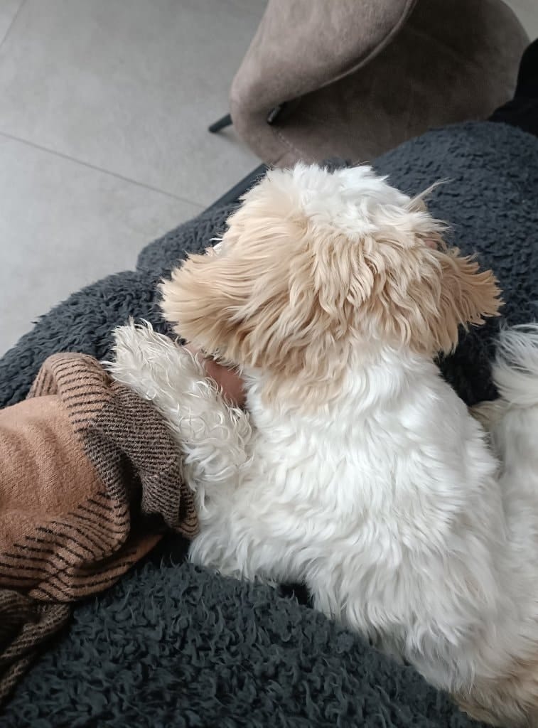 image-6