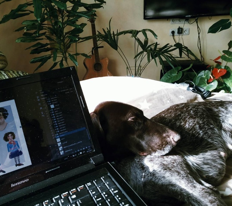 image-7