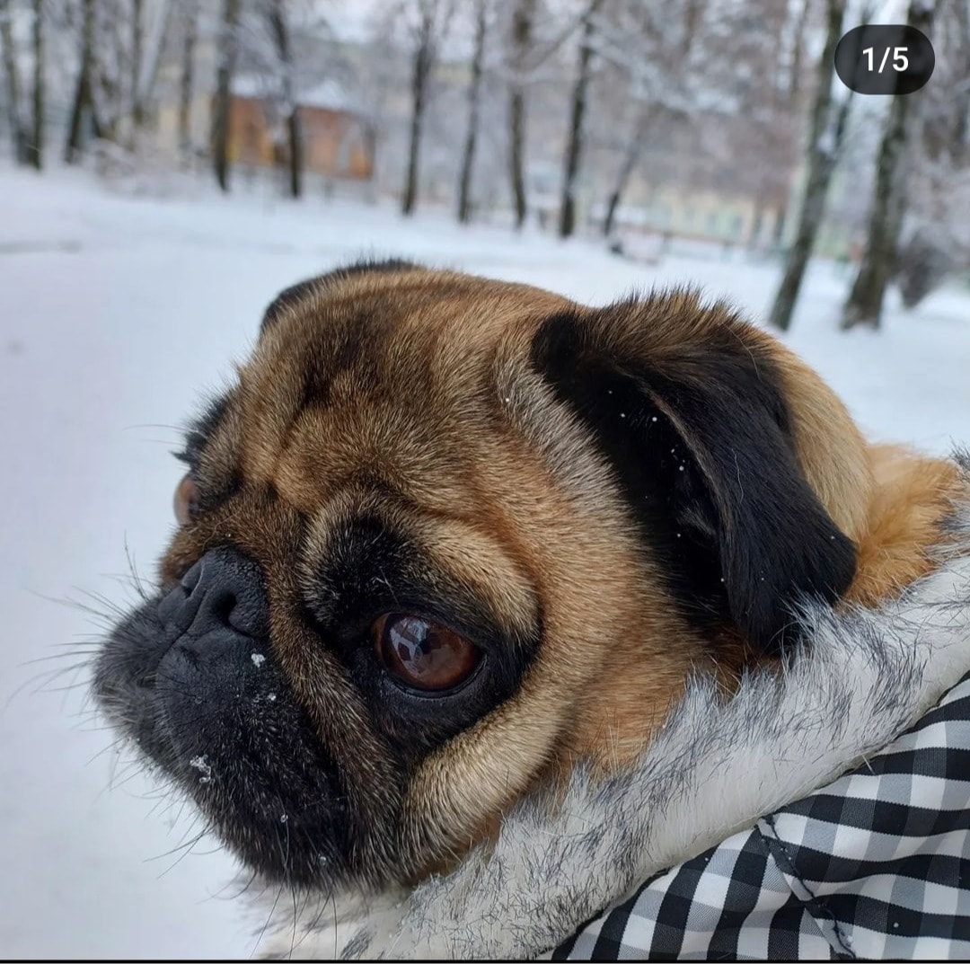 image-6