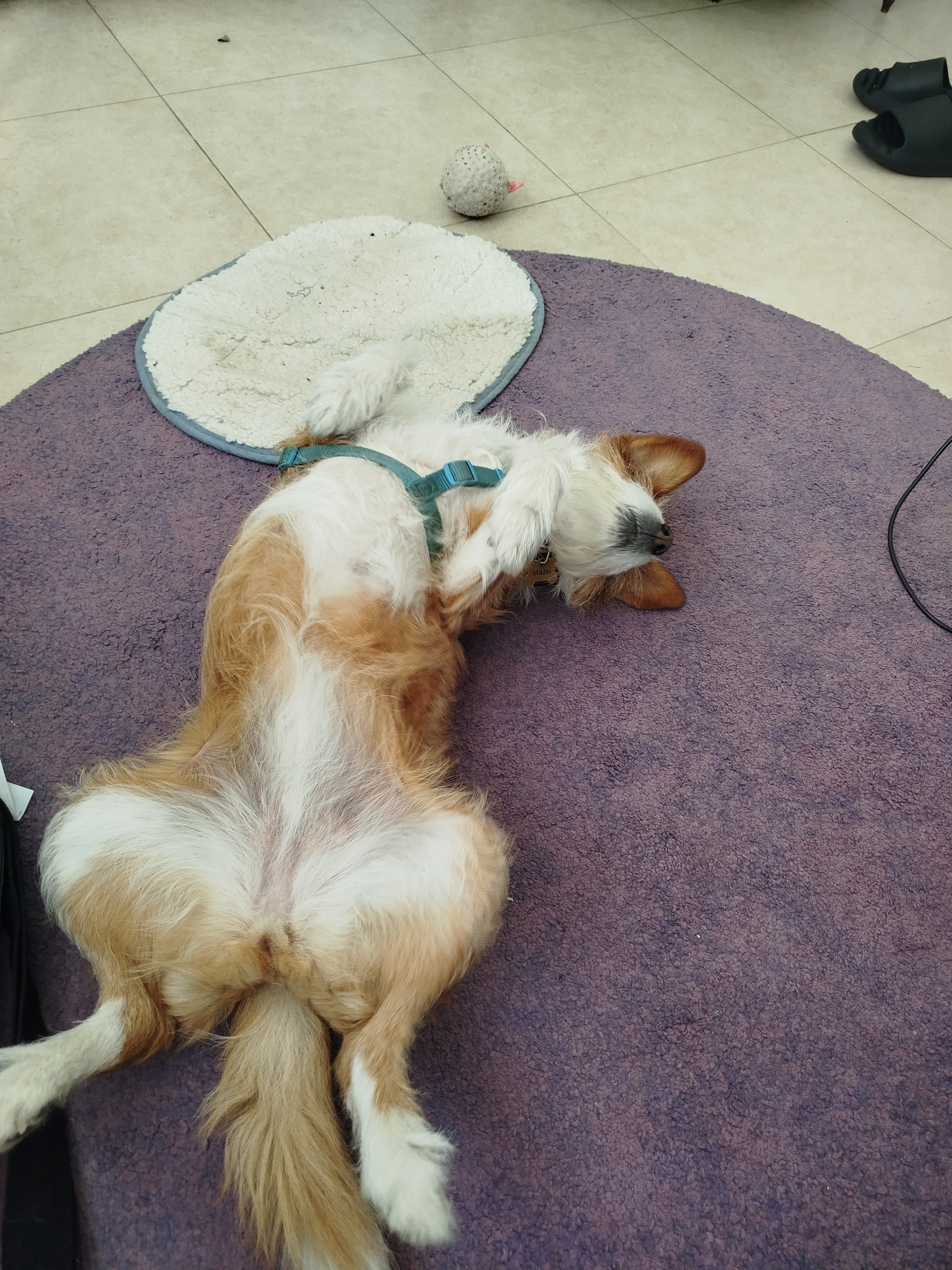 image-28