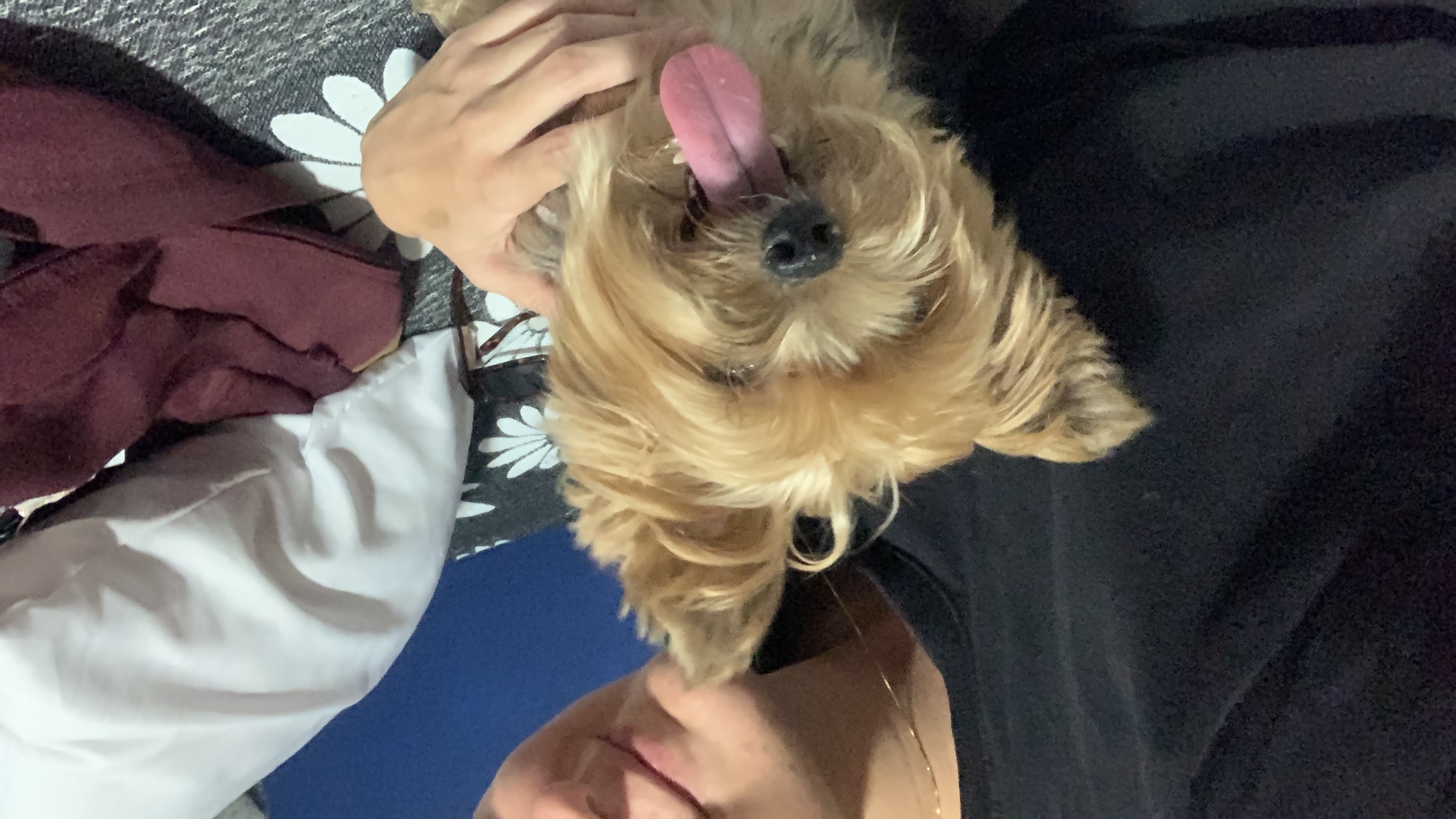 image-6