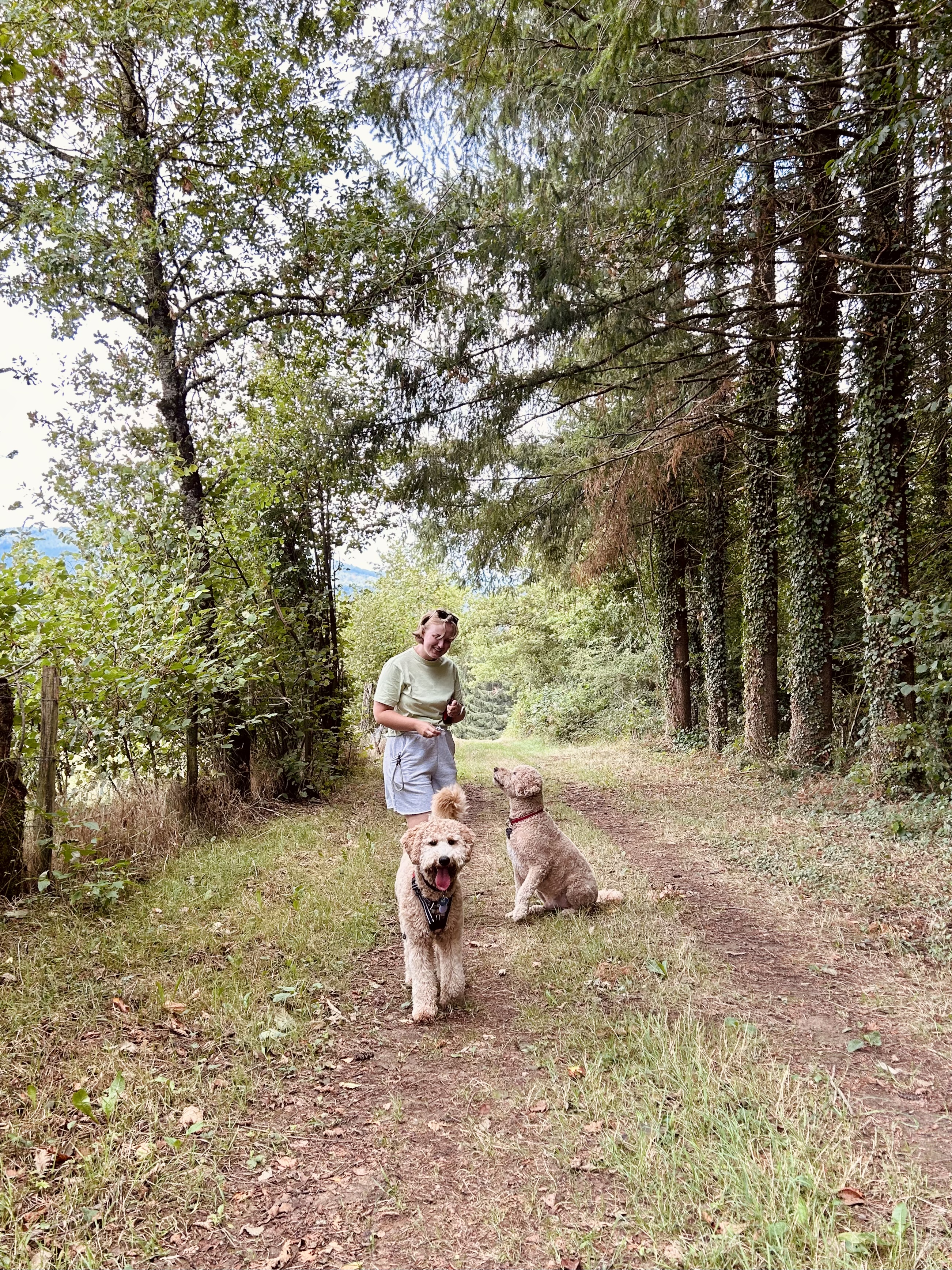 image-7