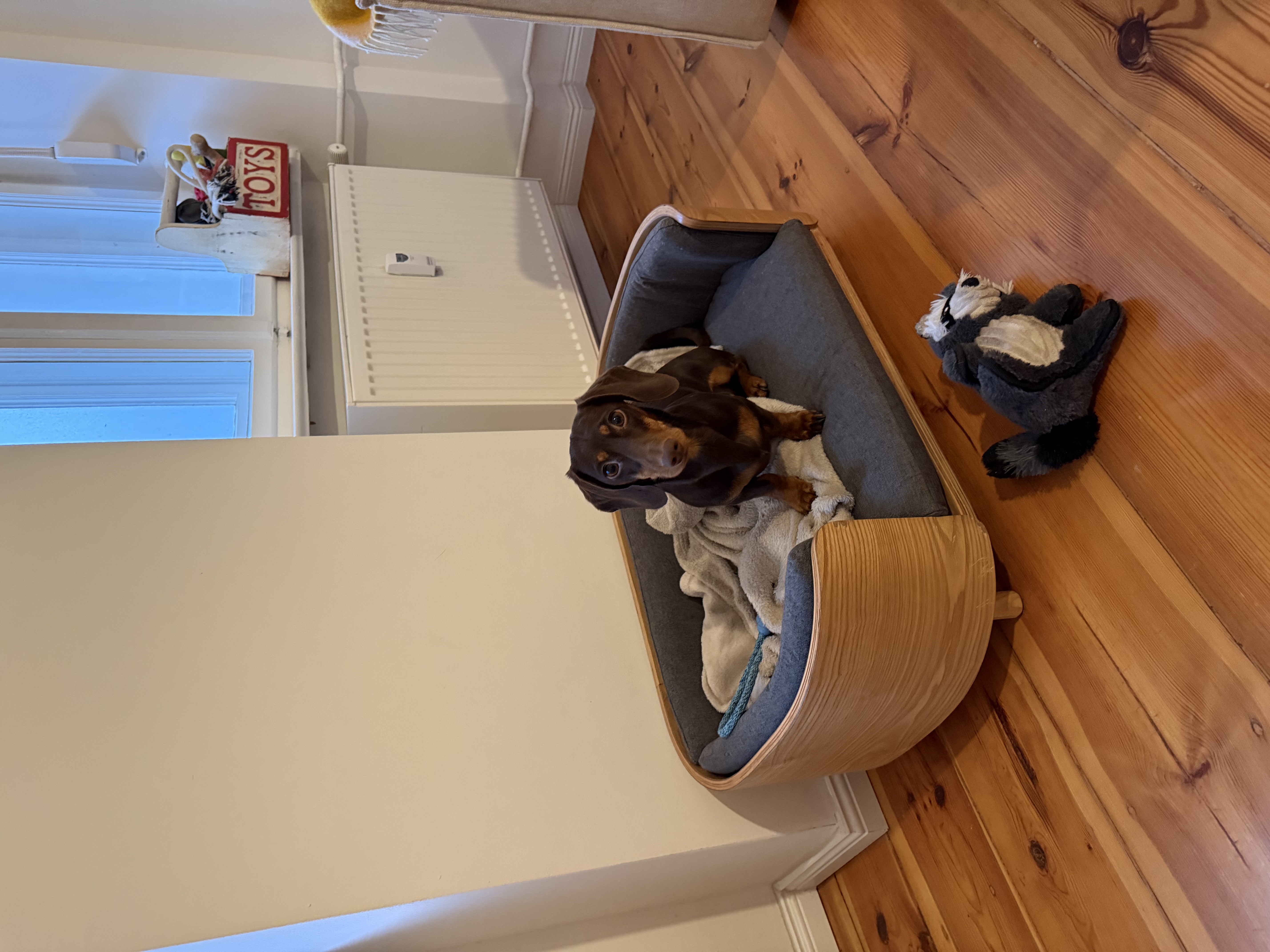 image-12