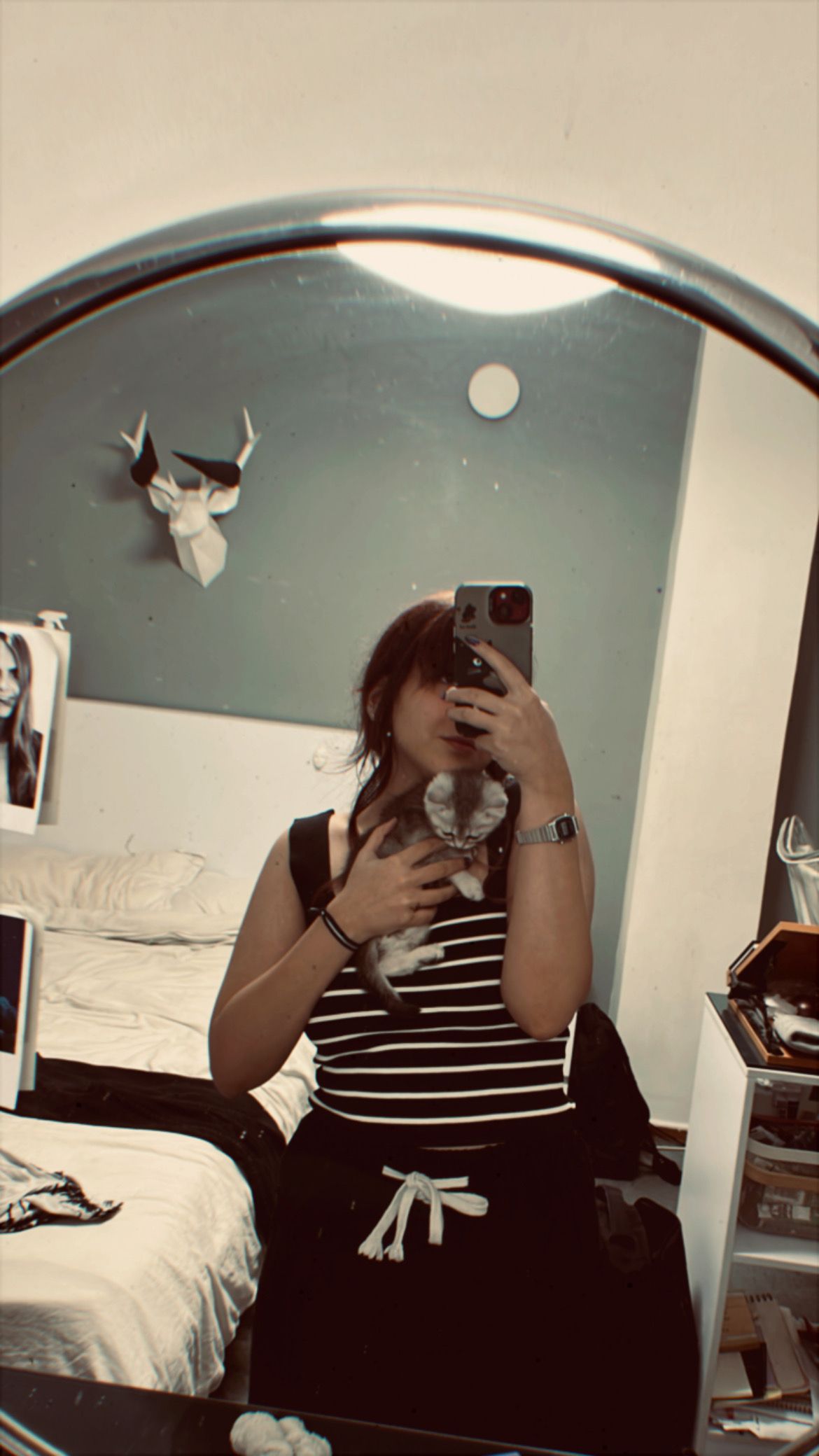 image-7
