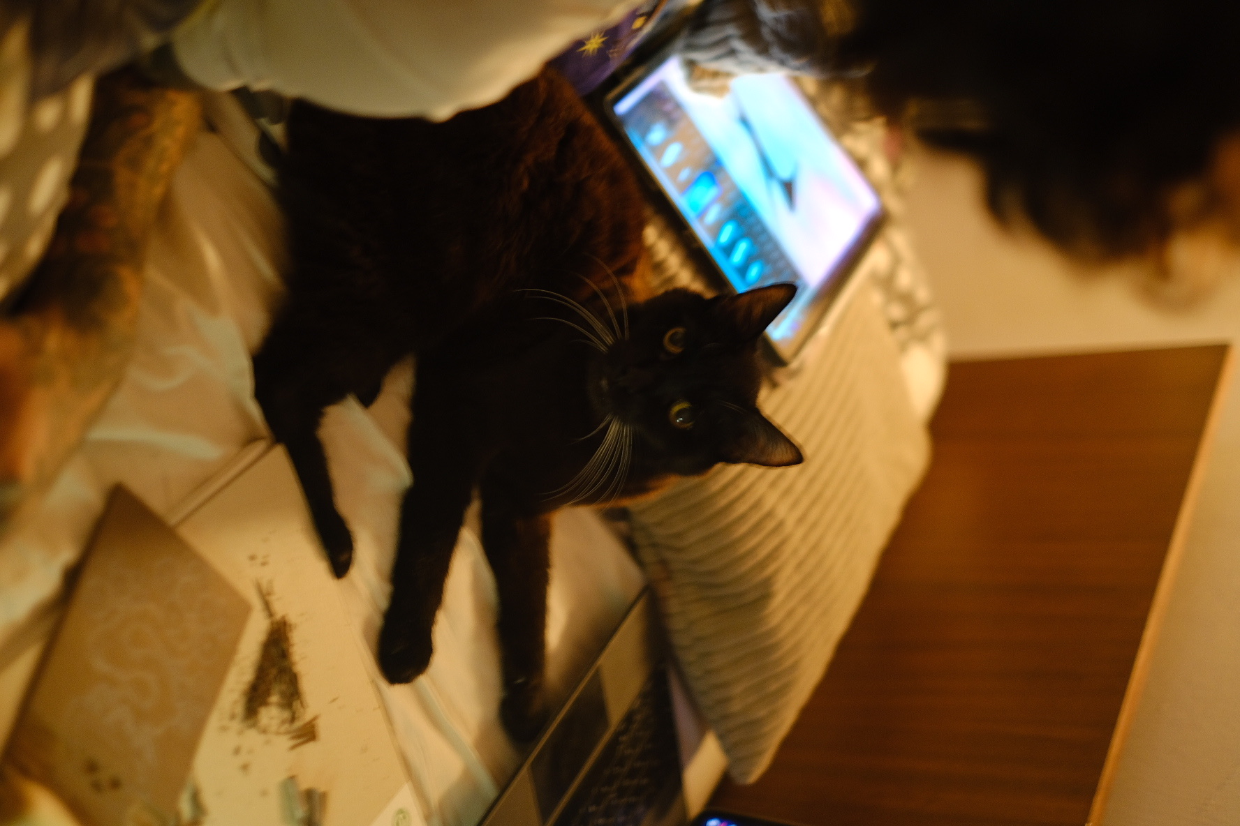 image-5