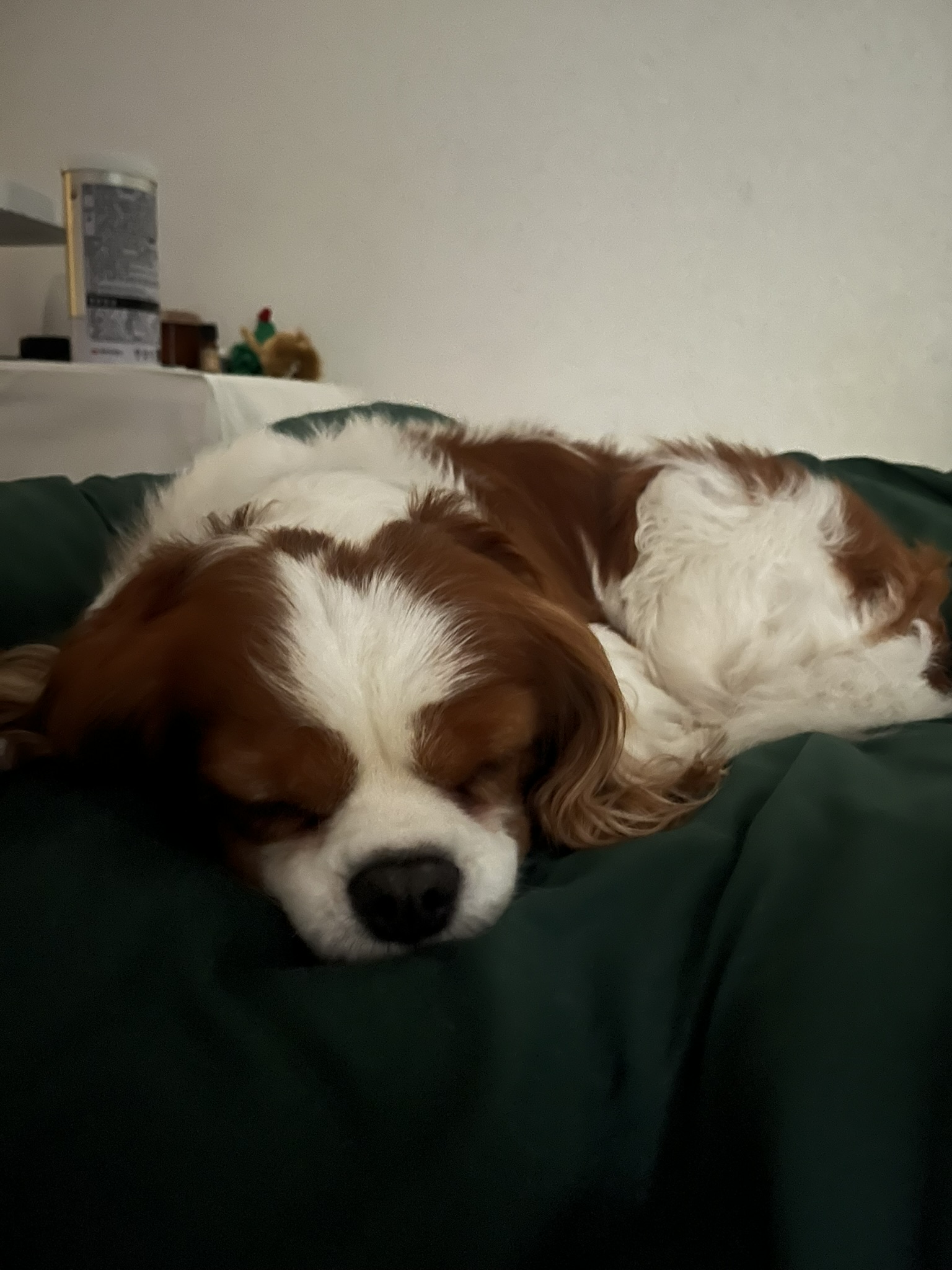 image-12