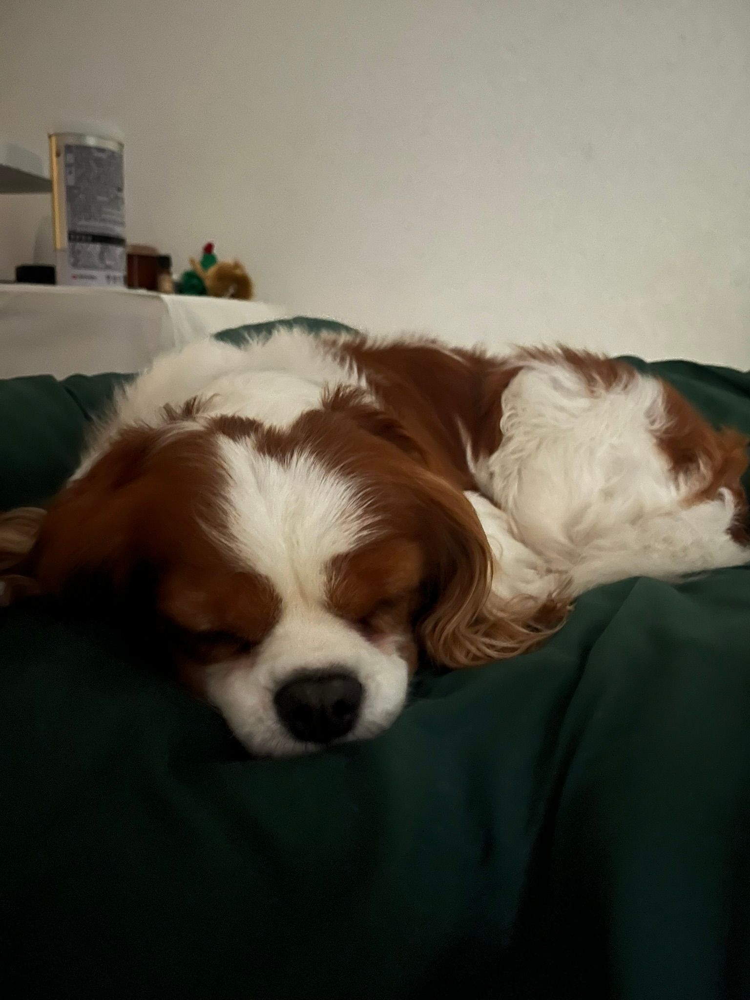 image-12