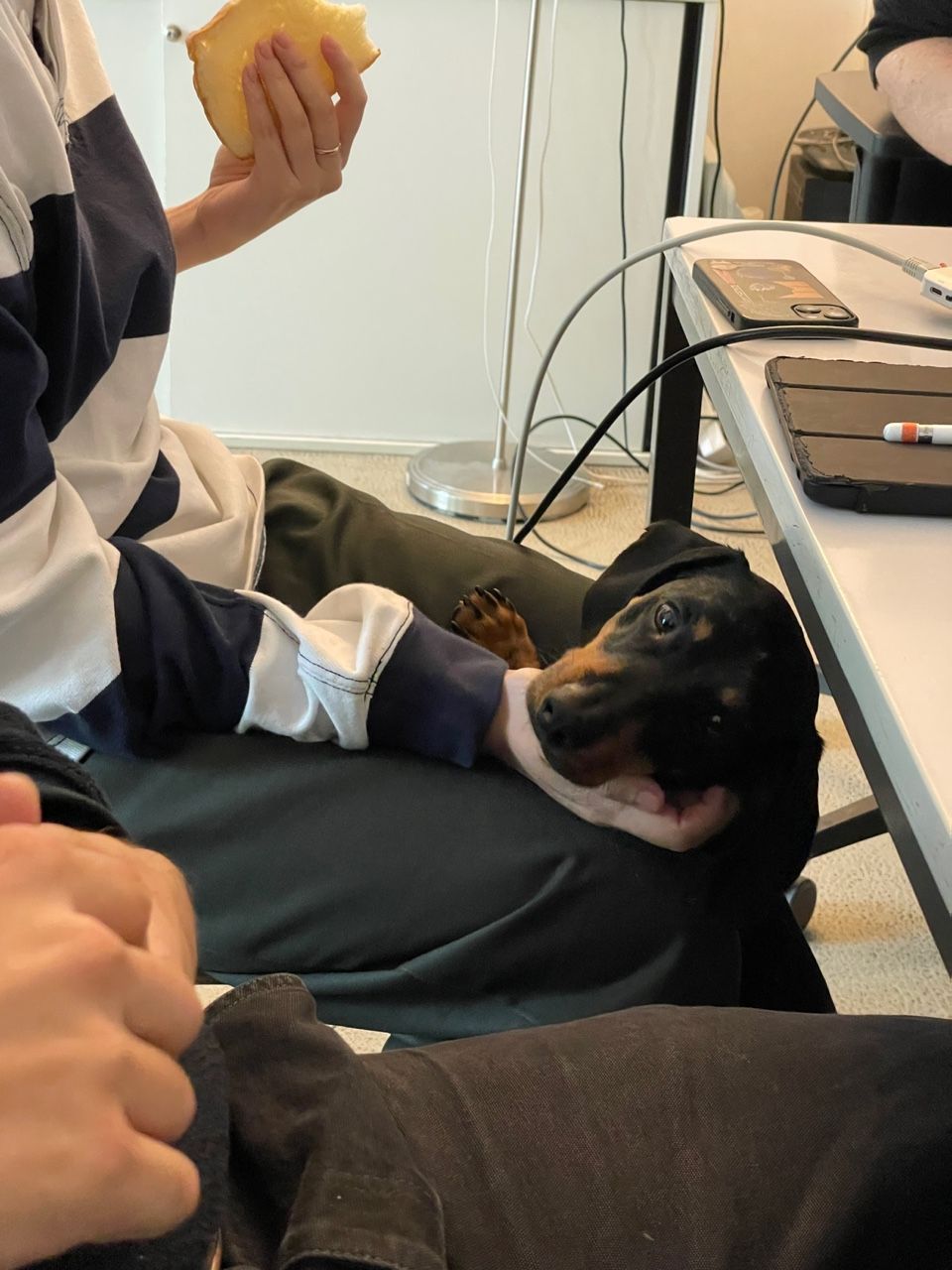 image-7