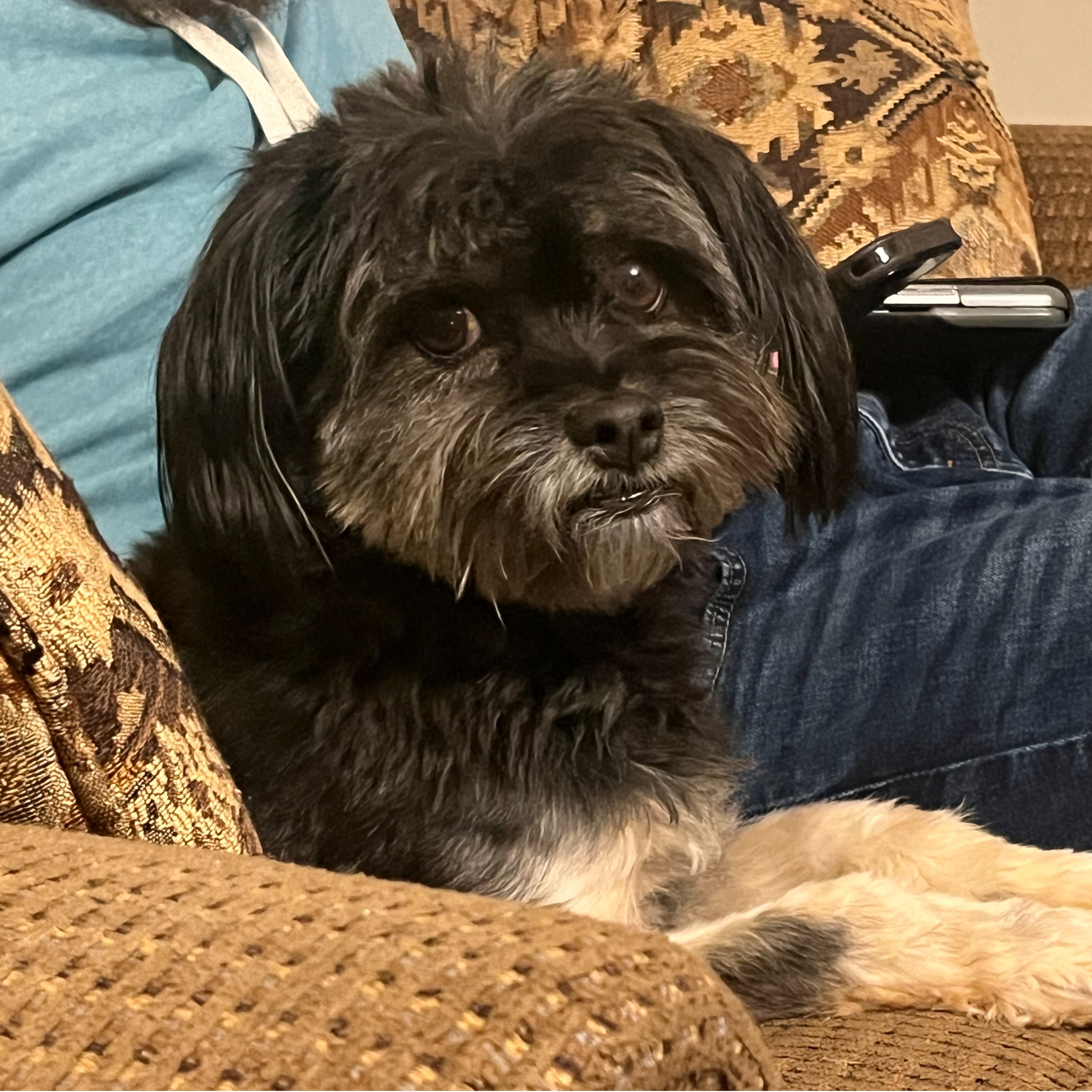 Flynn